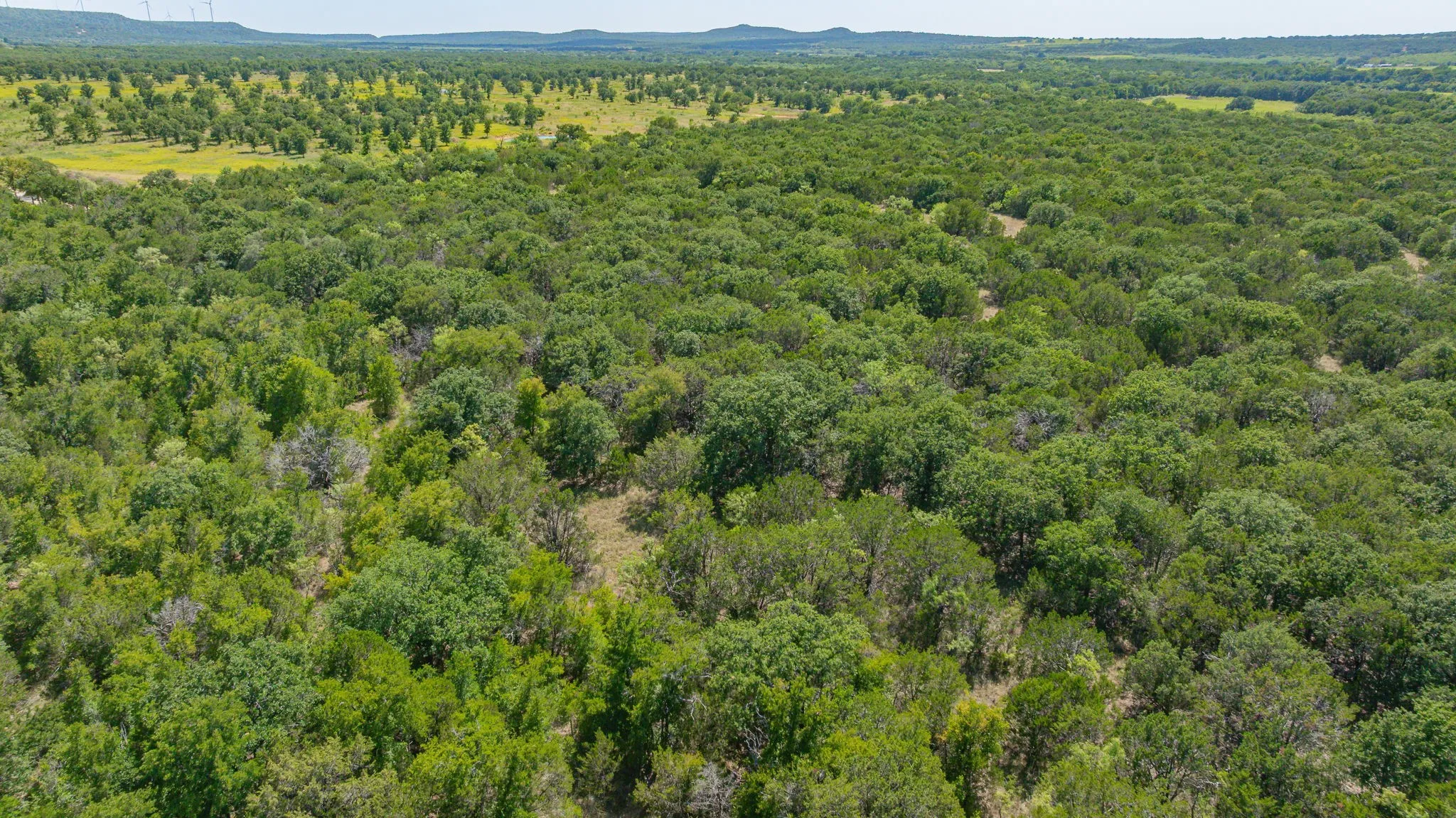 Unimproved Land For Sale in Erath County , TBD County Road 109, Mingus, Texas 76463, 0, 0, Garage spaces, 0 Sqft, built in 0, Price $434,939, mls#21344332, Real Estate Agent in Mingus, Homes For Sale in Erath county, Homes For Sale in Mingus, Realtor in Mingus Texas, Real Estate Brokerage Independent Realty Texas, Luminita Cordes Realtor
