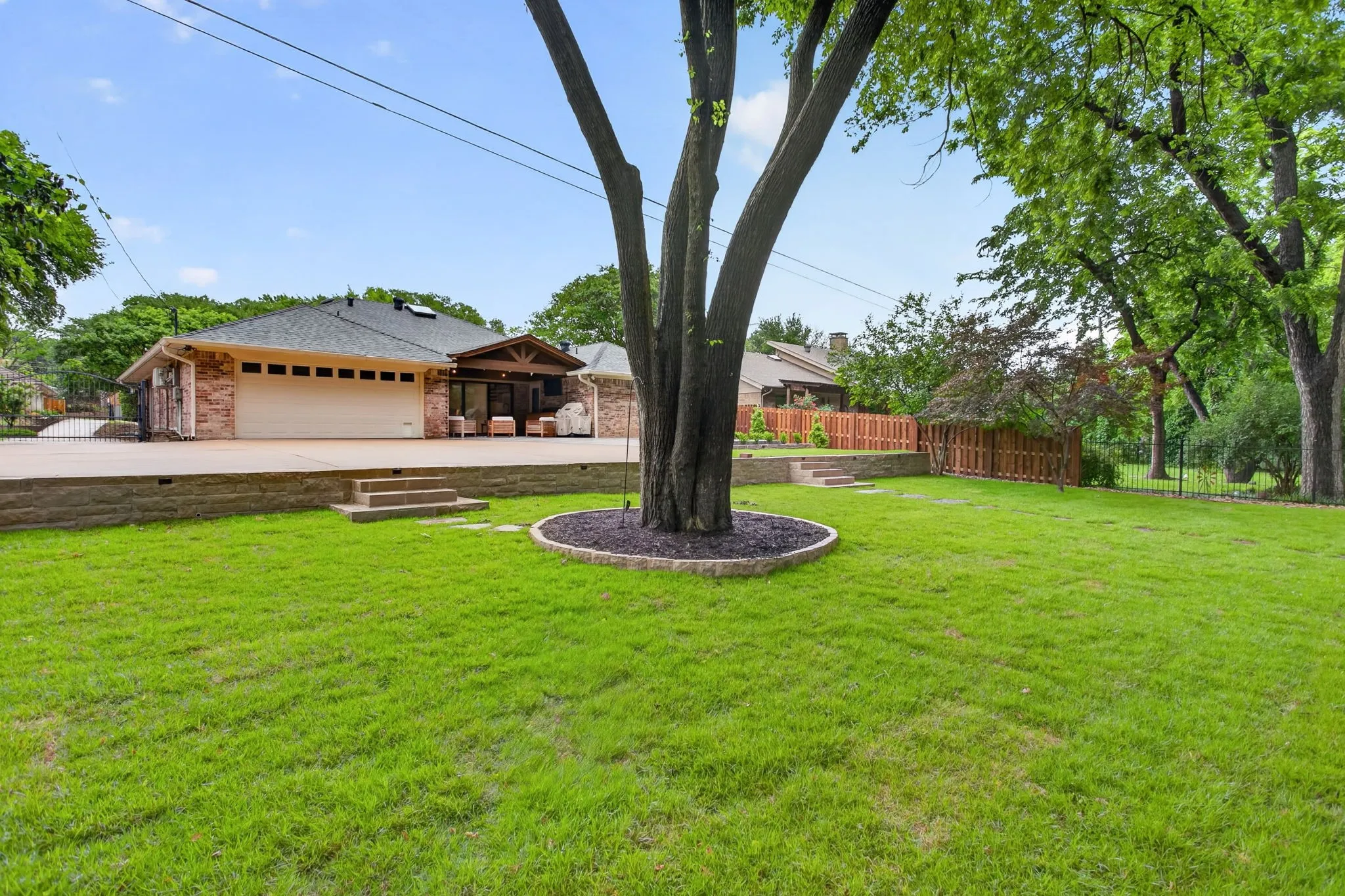 Expansive green lawn with a central mature tree
