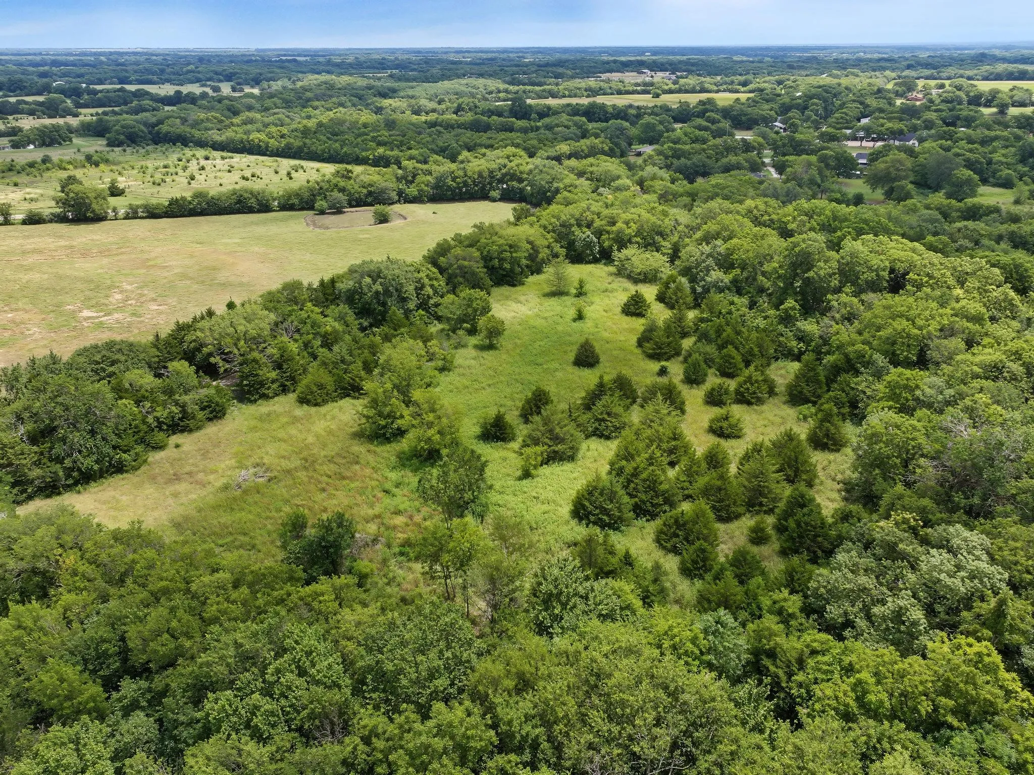 Unimproved Land For Sale in Fannin County , 4+ Acres County Road 4435, Trenton, Texas 75490, 0, 0, Garage spaces, 0 Sqft, built in 0, Price $150,000, mls#21335924, Real Estate Agent in Trenton, Homes For Sale in Fannin county, Homes For Sale in Trenton, Realtor in Trenton Texas, Real Estate Brokerage Independent Realty Texas, Luminita Cordes Realtor