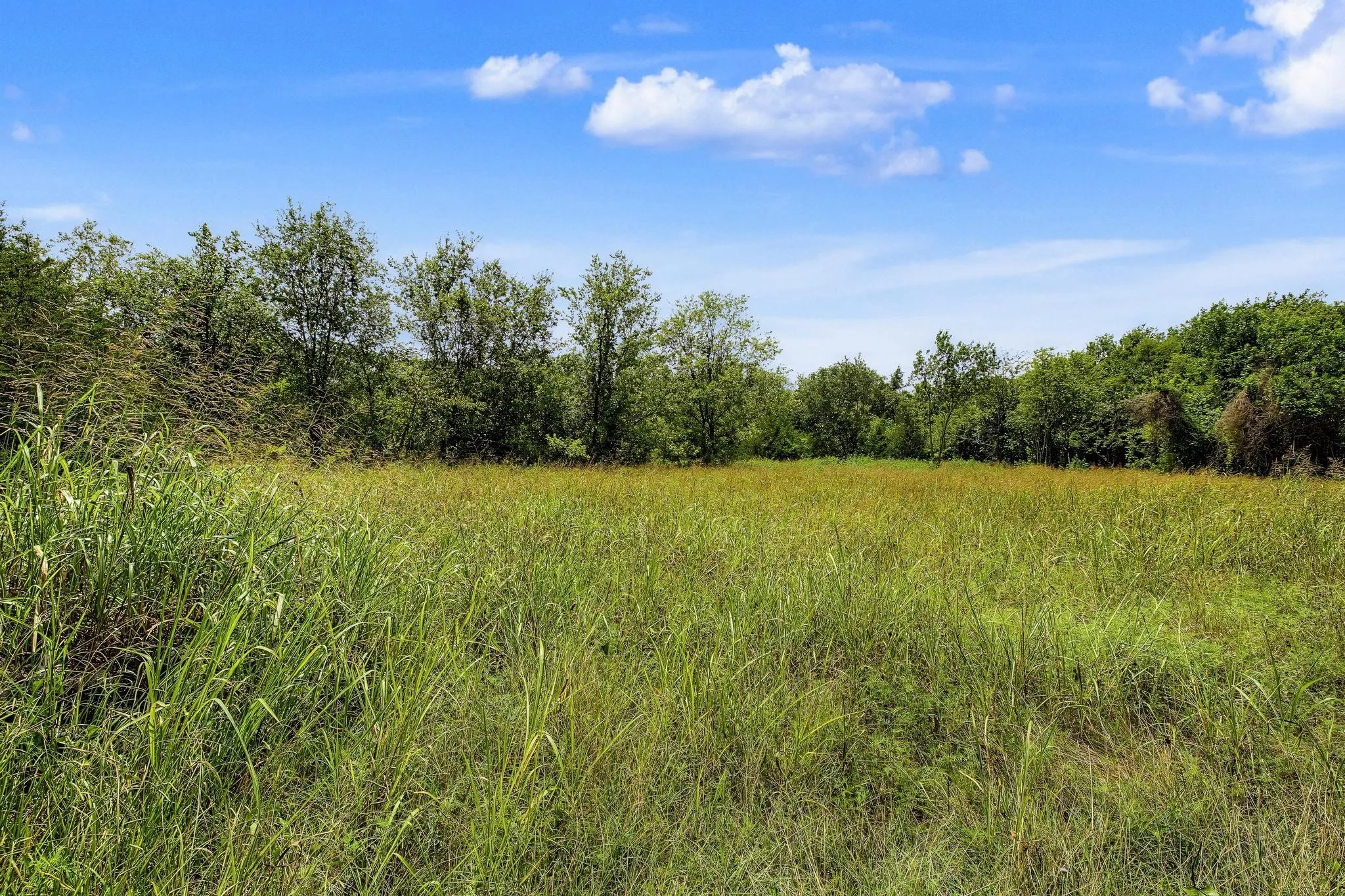 Unimproved Land For Sale in Fannin County , 4+ Acres County Road 4435, Trenton, Texas 75490, 0, 0, Garage spaces, 0 Sqft, built in 0, Price $150,000, mls#21335924, Real Estate Agent in Trenton, Homes For Sale in Fannin county, Homes For Sale in Trenton, Realtor in Trenton Texas, Real Estate Brokerage Independent Realty Texas, Luminita Cordes Realtor