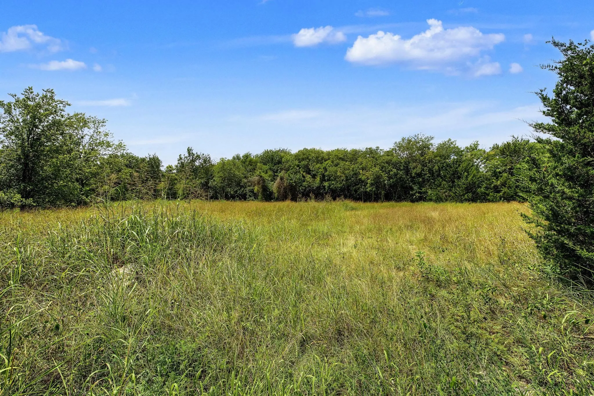 Unimproved Land For Sale in Fannin County , 4+ Acres County Road 4435, Trenton, Texas 75490, 0, 0, Garage spaces, 0 Sqft, built in 0, Price $150,000, mls#21335924, Real Estate Agent in Trenton, Homes For Sale in Fannin county, Homes For Sale in Trenton, Realtor in Trenton Texas, Real Estate Brokerage Independent Realty Texas, Luminita Cordes Realtor