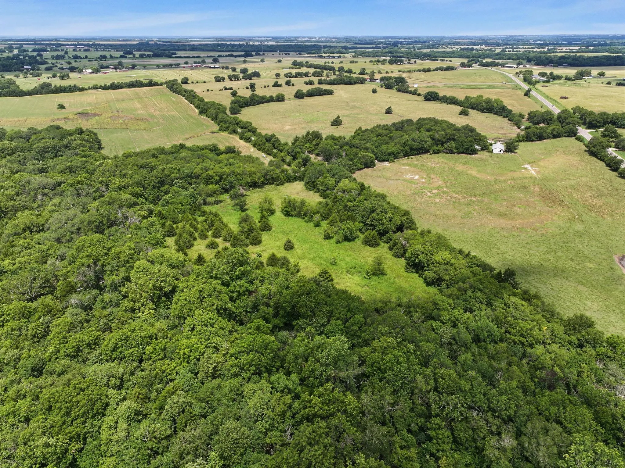 Unimproved Land For Sale in Fannin County , 4+ Acres County Road 4435, Trenton, Texas 75490, 0, 0, Garage spaces, 0 Sqft, built in 0, Price $150,000, mls#21335924, Real Estate Agent in Trenton, Homes For Sale in Fannin county, Homes For Sale in Trenton, Realtor in Trenton Texas, Real Estate Brokerage Independent Realty Texas, Luminita Cordes Realtor