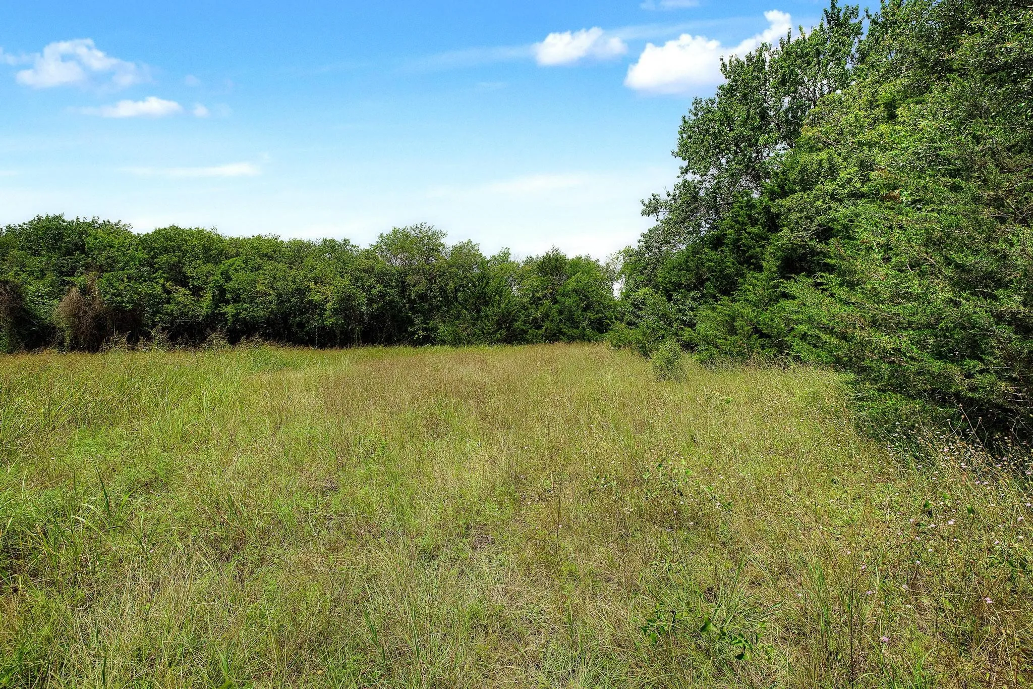Unimproved Land For Sale in Fannin County , 4+ Acres County Road 4435, Trenton, Texas 75490, 0, 0, Garage spaces, 0 Sqft, built in 0, Price $150,000, mls#21335924, Real Estate Agent in Trenton, Homes For Sale in Fannin county, Homes For Sale in Trenton, Realtor in Trenton Texas, Real Estate Brokerage Independent Realty Texas, Luminita Cordes Realtor