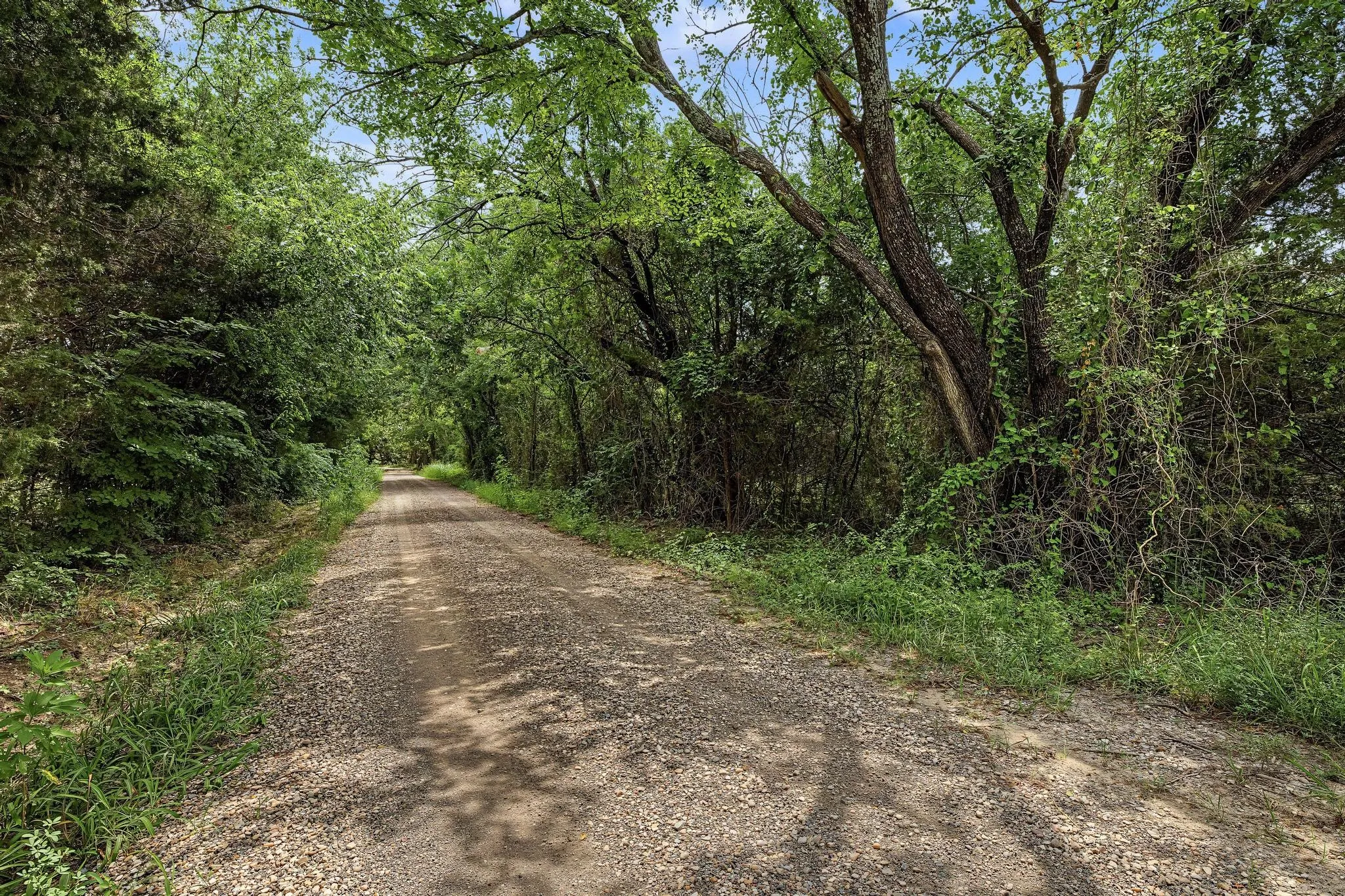 Unimproved Land For Sale in Fannin County , 4+ Acres County Road 4435, Trenton, Texas 75490, 0, 0, Garage spaces, 0 Sqft, built in 0, Price $150,000, mls#21335924, Real Estate Agent in Trenton, Homes For Sale in Fannin county, Homes For Sale in Trenton, Realtor in Trenton Texas, Real Estate Brokerage Independent Realty Texas, Luminita Cordes Realtor