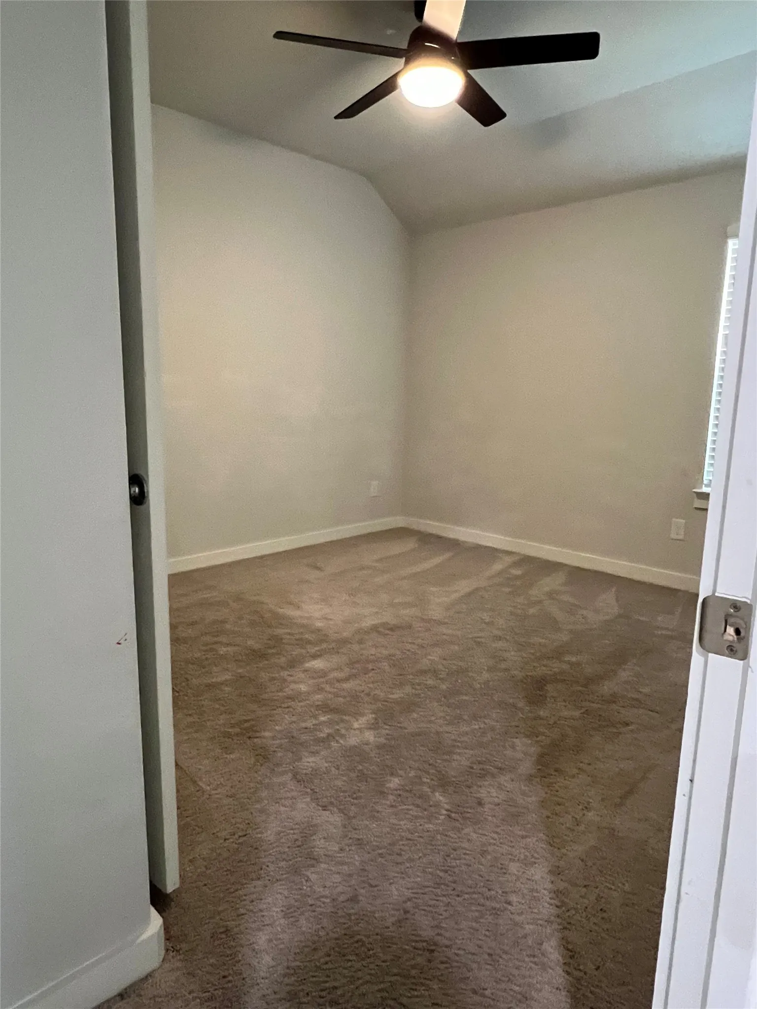 Spacious bedroom with neutral wall finishes, carpeted flooring, ceiling fan with integrated lighting, and abundant natural light from multiple windows