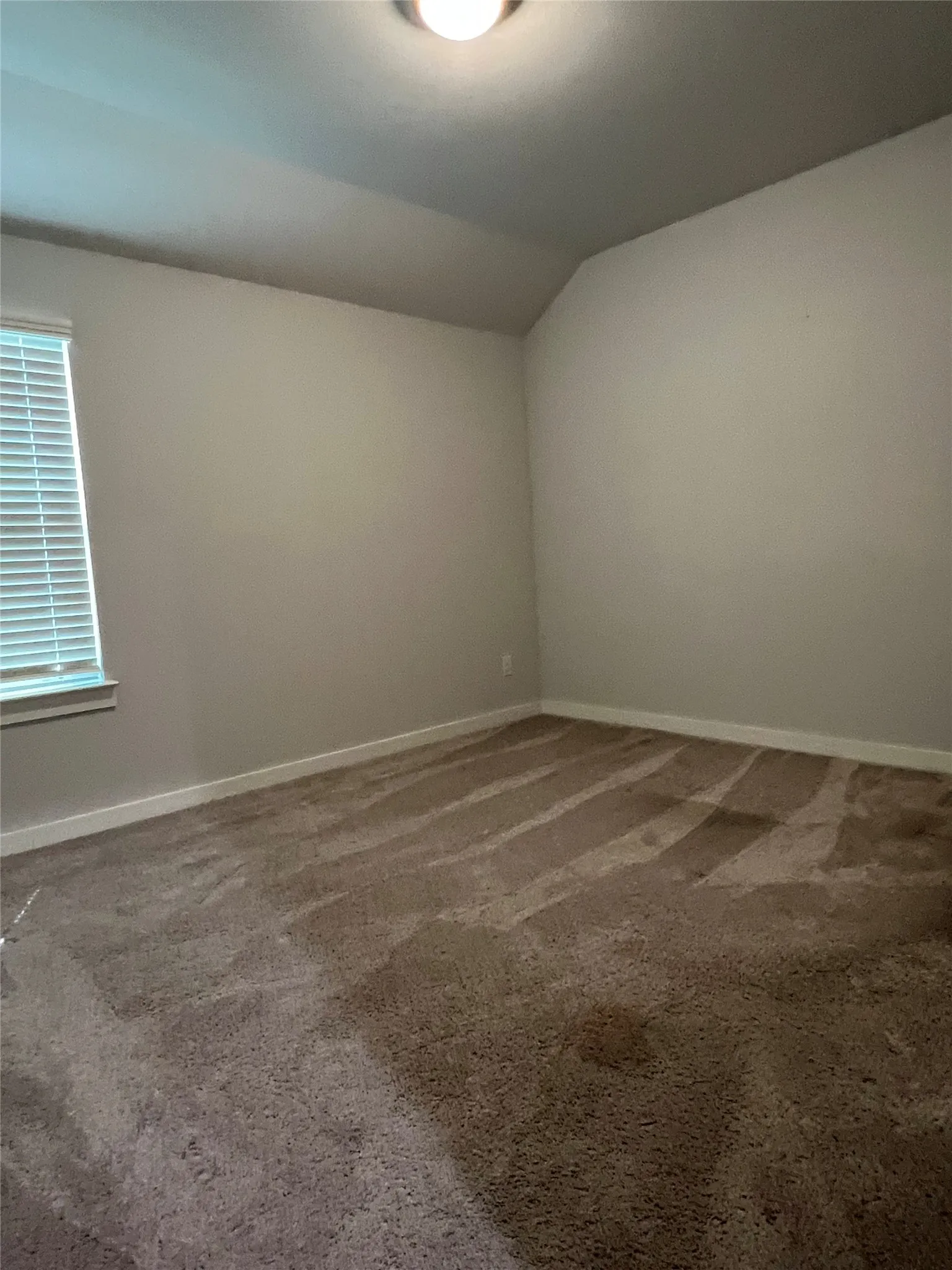 Spacious bedroom with neutral wall finishes, carpeted flooring, and abundant natural light from large window