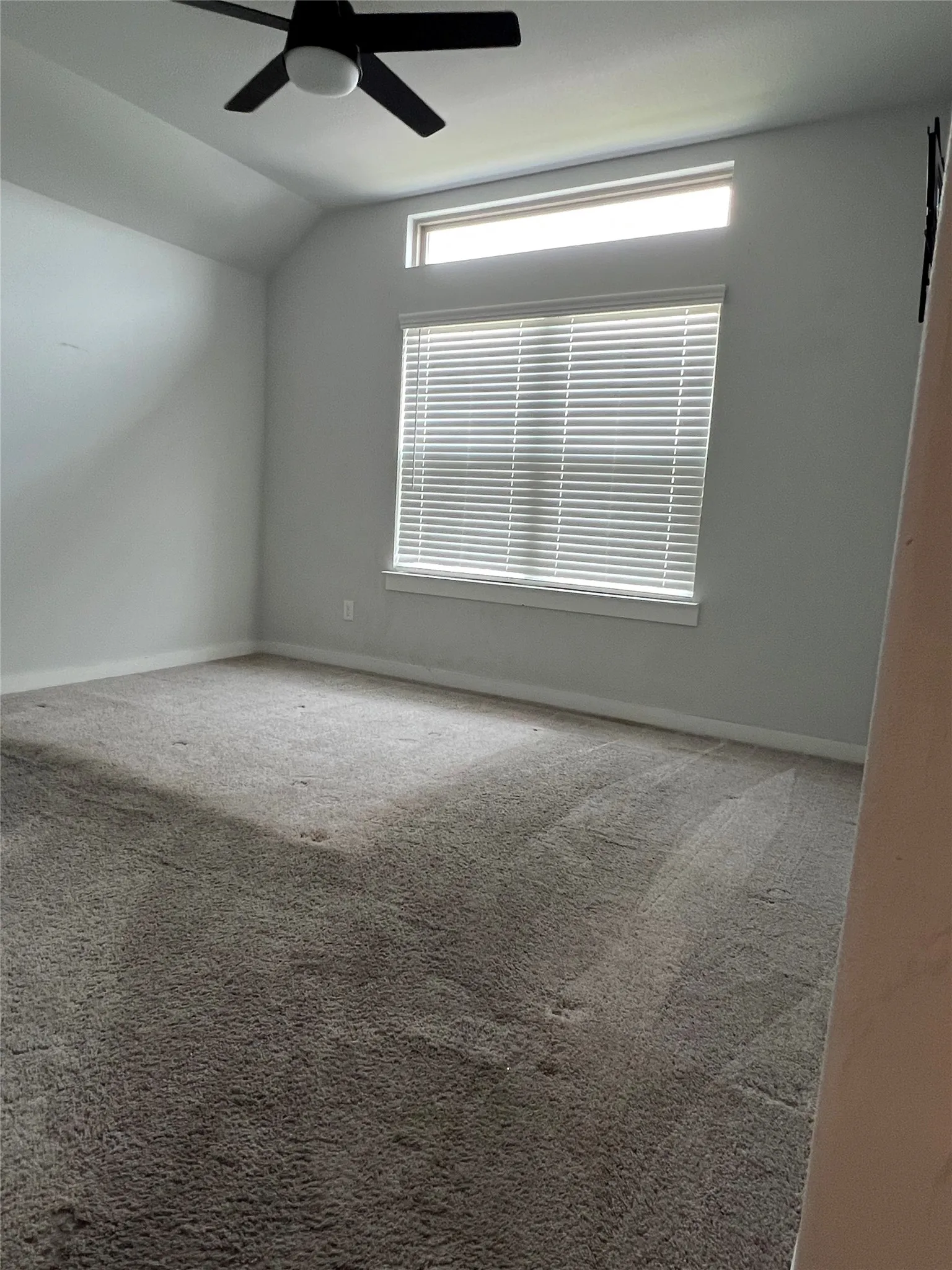 Bright secondary bedroom featuring neutral wall finishes, carpet flooring, a ceiling fan with integrated lighting, and abundant natural light from a large window with plantation shutters and transom window above