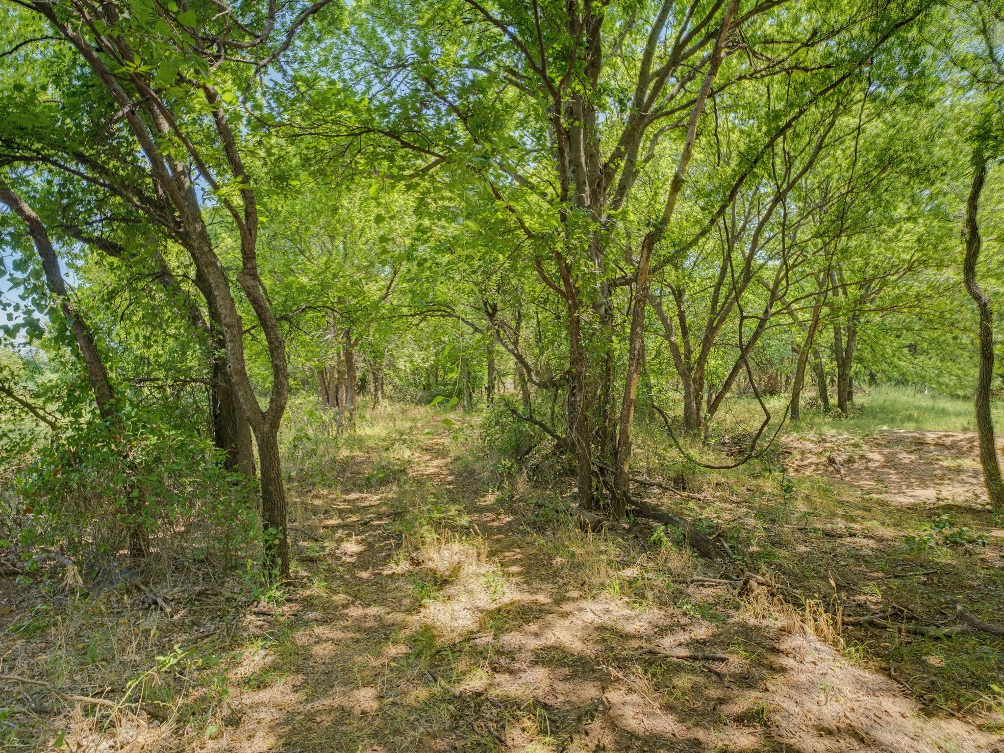 Unimproved Land For Sale in Montague County , TBD 59+/- Acres Applegate Rd, Bowie, Texas 76230, 0, 0, Garage spaces, 0 Sqft, built in 0, mls#21339297, Real Estate Agent in Bowie, Homes For Sale in Montague county, Homes For Sale in Bowie, Realtor in Bowie Texas, Real Estate Brokerage Independent Realty Texas, Luminita Cordes Realtor
