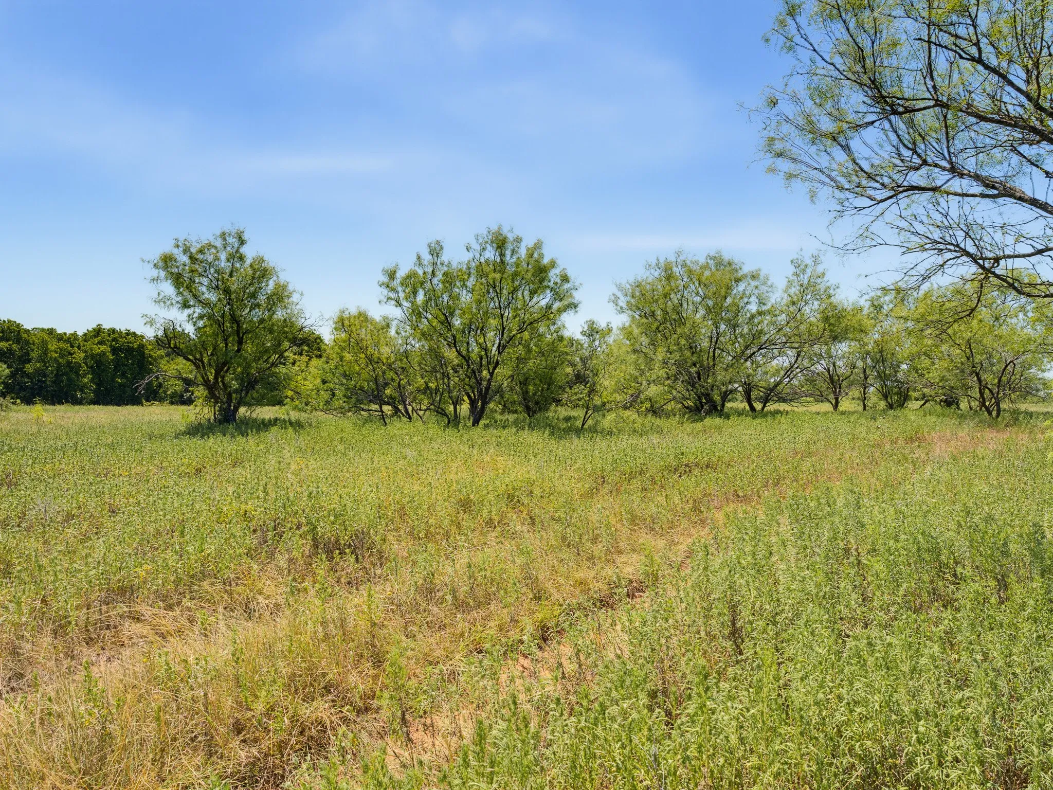 Unimproved Land For Sale in Montague County , TBD 59+/- Acres Applegate Rd, Bowie, Texas 76230, 0, 0, Garage spaces, 0 Sqft, built in 0, mls#21339297, Real Estate Agent in Bowie, Homes For Sale in Montague county, Homes For Sale in Bowie, Realtor in Bowie Texas, Real Estate Brokerage Independent Realty Texas, Luminita Cordes Realtor