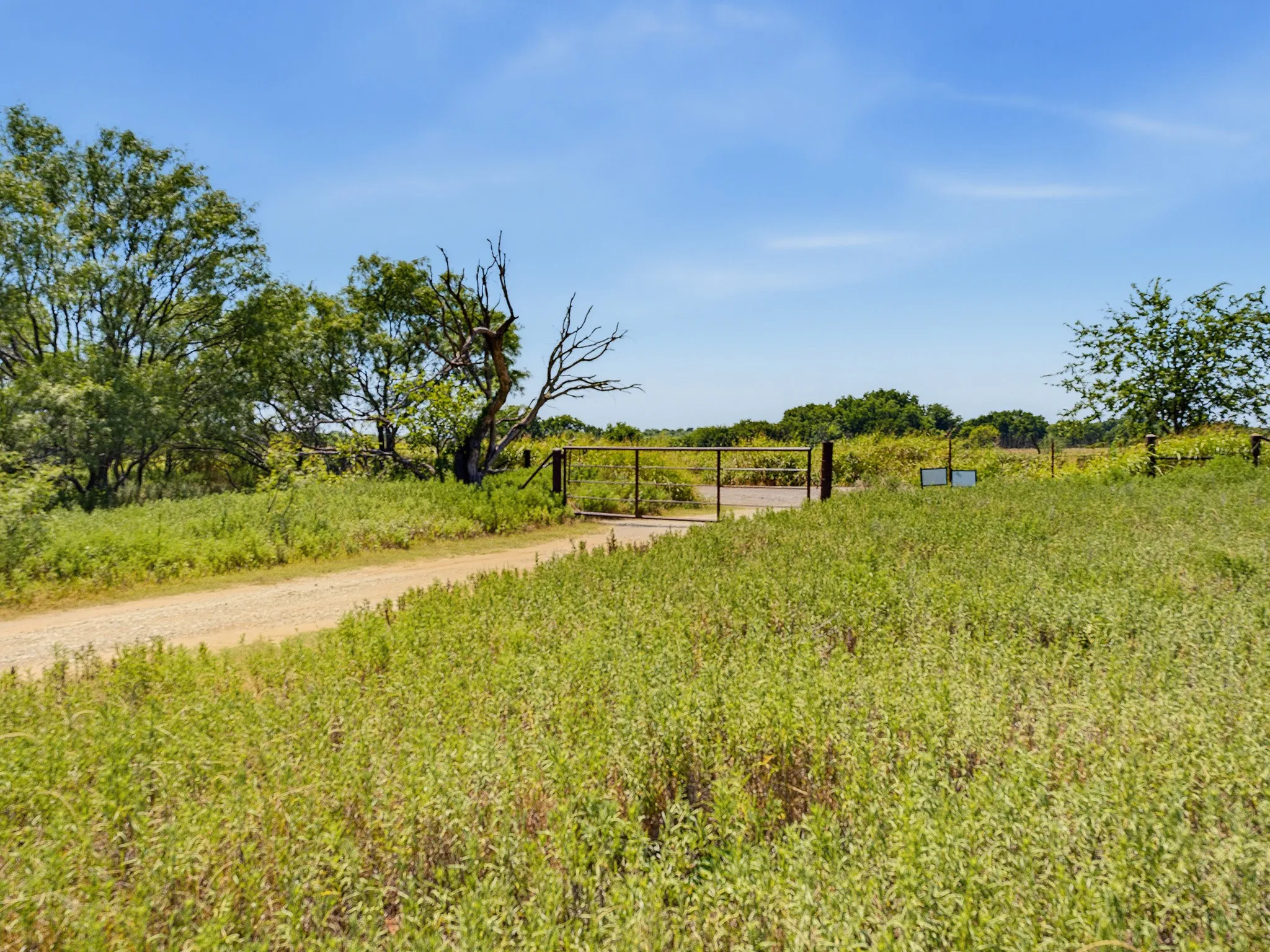 Unimproved Land For Sale in Montague County , TBD 59+/- Acres Applegate Rd, Bowie, Texas 76230, 0, 0, Garage spaces, 0 Sqft, built in 0, mls#21339297, Real Estate Agent in Bowie, Homes For Sale in Montague county, Homes For Sale in Bowie, Realtor in Bowie Texas, Real Estate Brokerage Independent Realty Texas, Luminita Cordes Realtor