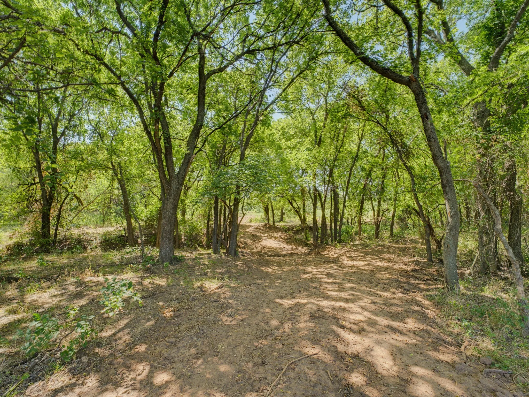 Unimproved Land For Sale in Montague County , TBD 59+/- Acres Applegate Rd, Bowie, Texas 76230, 0, 0, Garage spaces, 0 Sqft, built in 0, mls#21339297, Real Estate Agent in Bowie, Homes For Sale in Montague county, Homes For Sale in Bowie, Realtor in Bowie Texas, Real Estate Brokerage Independent Realty Texas, Luminita Cordes Realtor