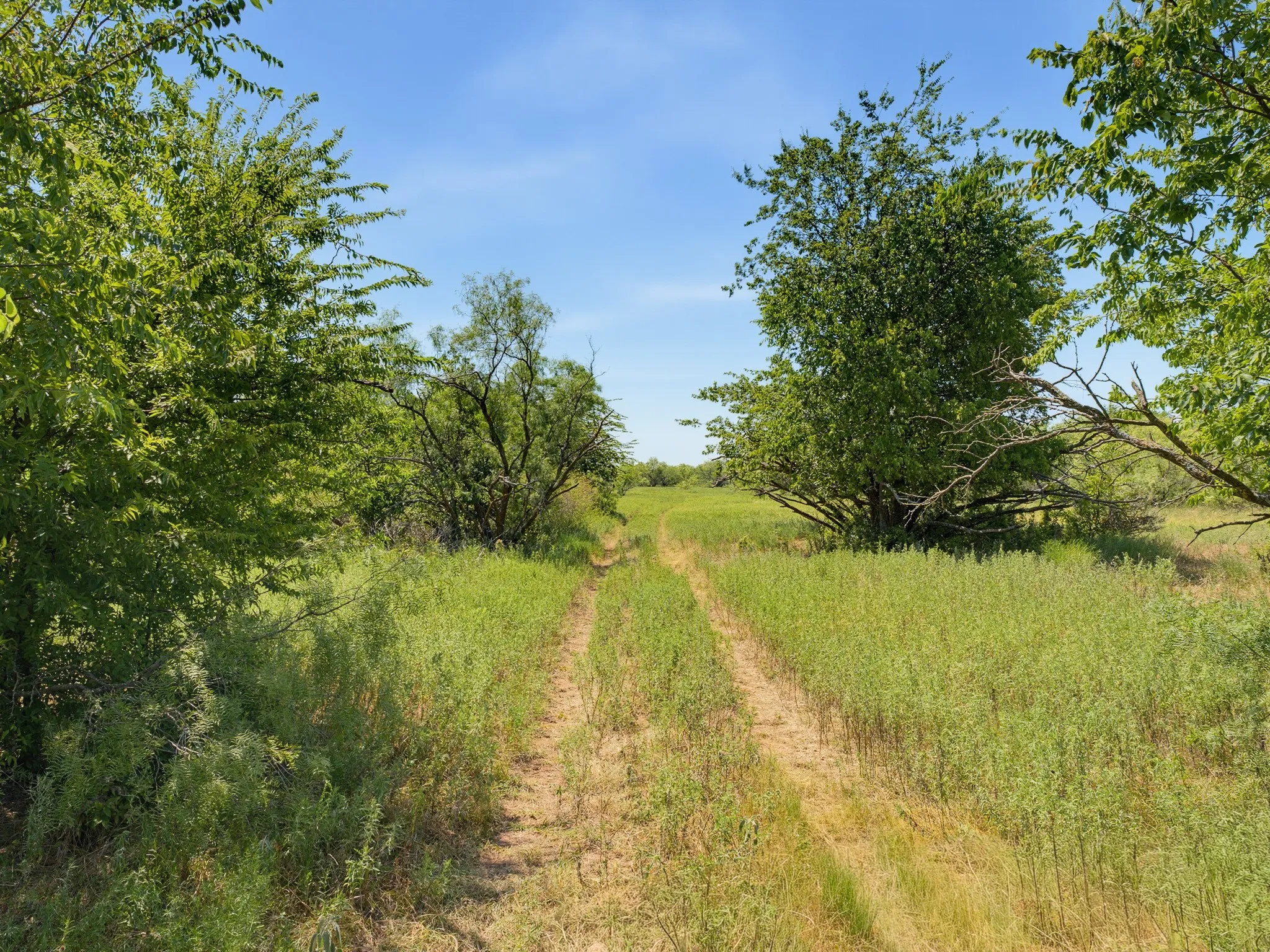 Unimproved Land For Sale in Montague County , TBD 59+/- Acres Applegate Rd, Bowie, Texas 76230, 0, 0, Garage spaces, 0 Sqft, built in 0, mls#21339297, Real Estate Agent in Bowie, Homes For Sale in Montague county, Homes For Sale in Bowie, Realtor in Bowie Texas, Real Estate Brokerage Independent Realty Texas, Luminita Cordes Realtor