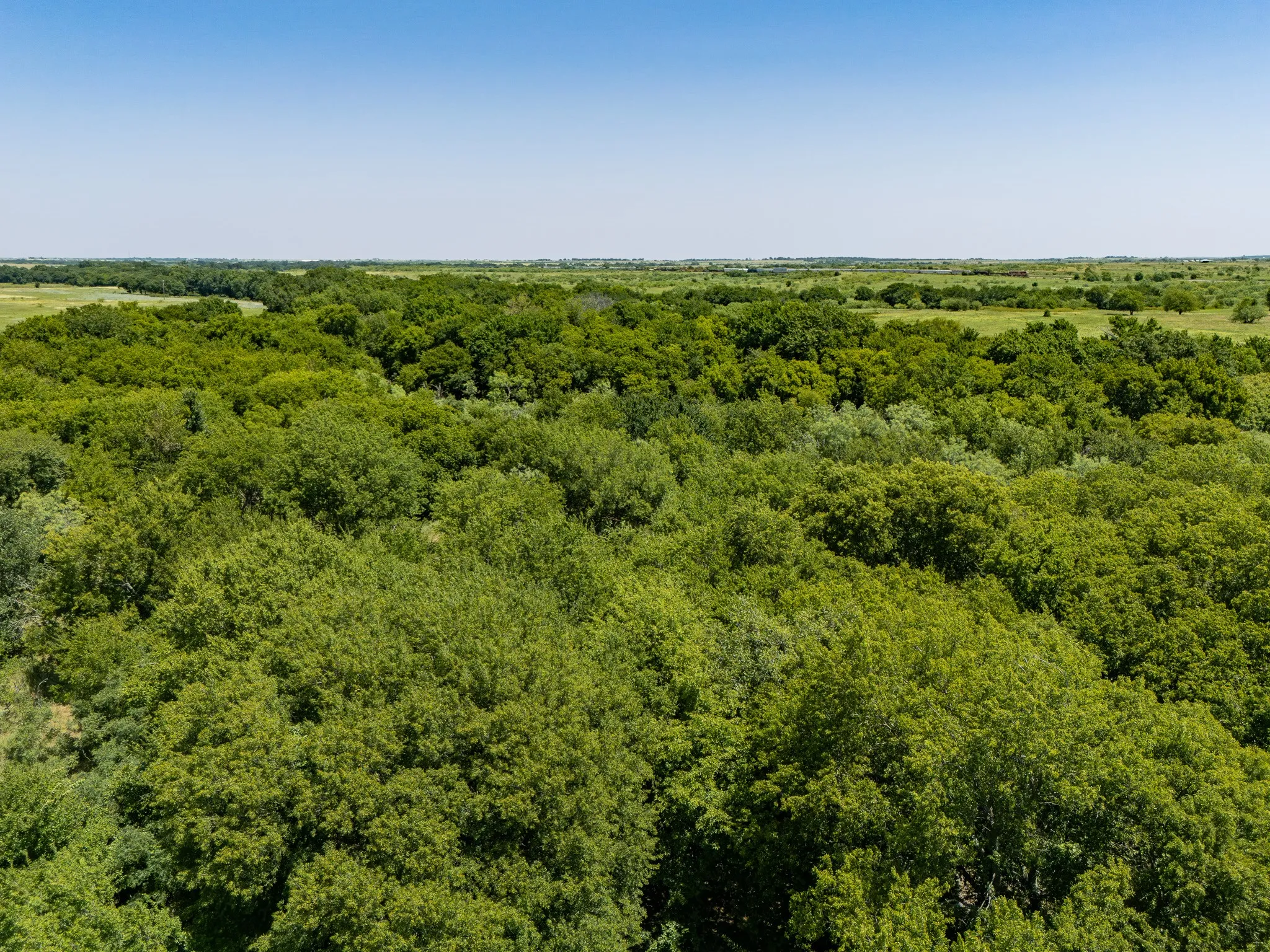 Unimproved Land For Sale in Montague County , TBD 59+/- Acres Applegate Rd, Bowie, Texas 76230, 0, 0, Garage spaces, 0 Sqft, built in 0, mls#21339297, Real Estate Agent in Bowie, Homes For Sale in Montague county, Homes For Sale in Bowie, Realtor in Bowie Texas, Real Estate Brokerage Independent Realty Texas, Luminita Cordes Realtor