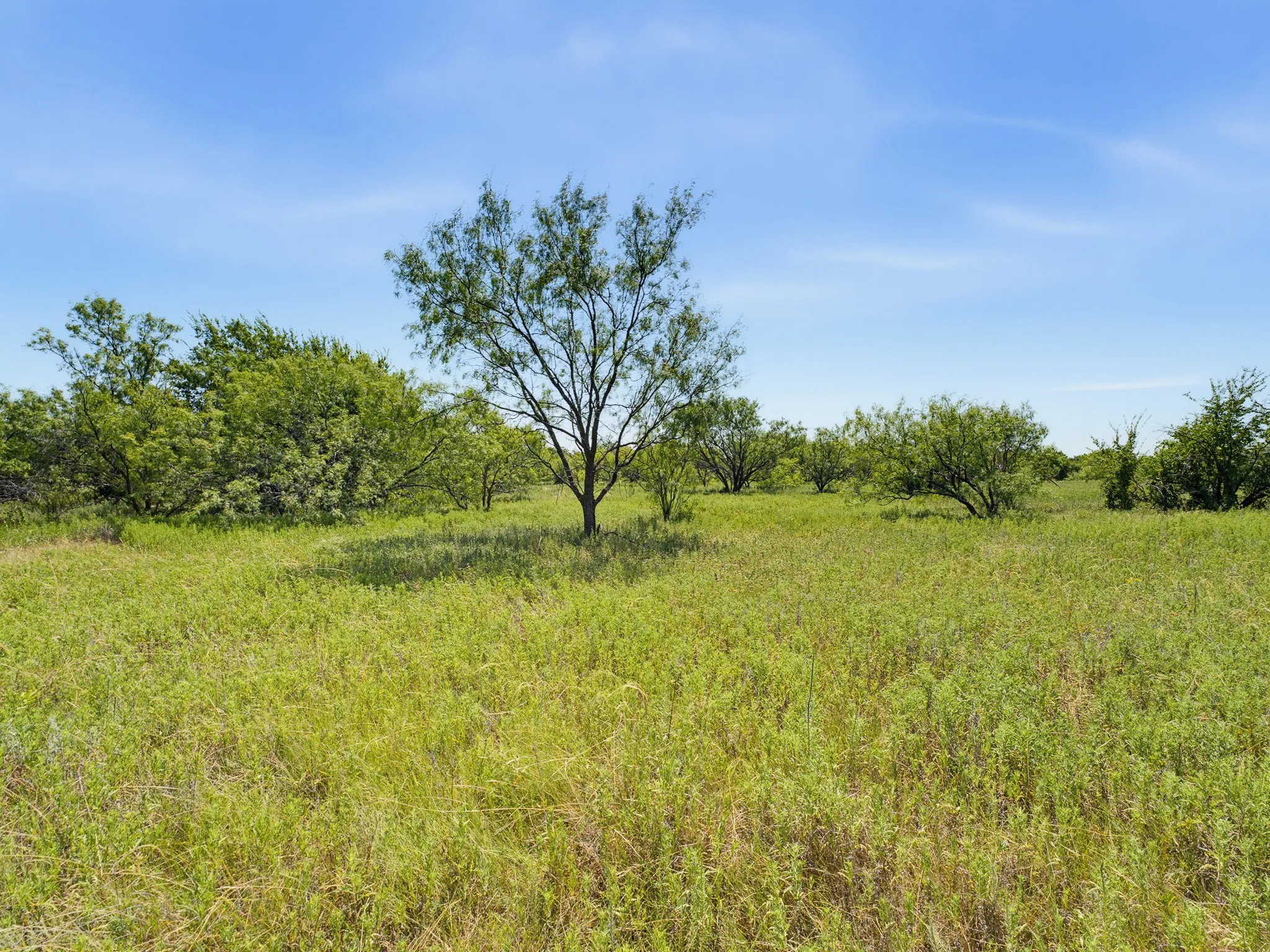 Unimproved Land For Sale in Montague County , TBD 59+/- Acres Applegate Rd, Bowie, Texas 76230, 0, 0, Garage spaces, 0 Sqft, built in 0, mls#21339297, Real Estate Agent in Bowie, Homes For Sale in Montague county, Homes For Sale in Bowie, Realtor in Bowie Texas, Real Estate Brokerage Independent Realty Texas, Luminita Cordes Realtor