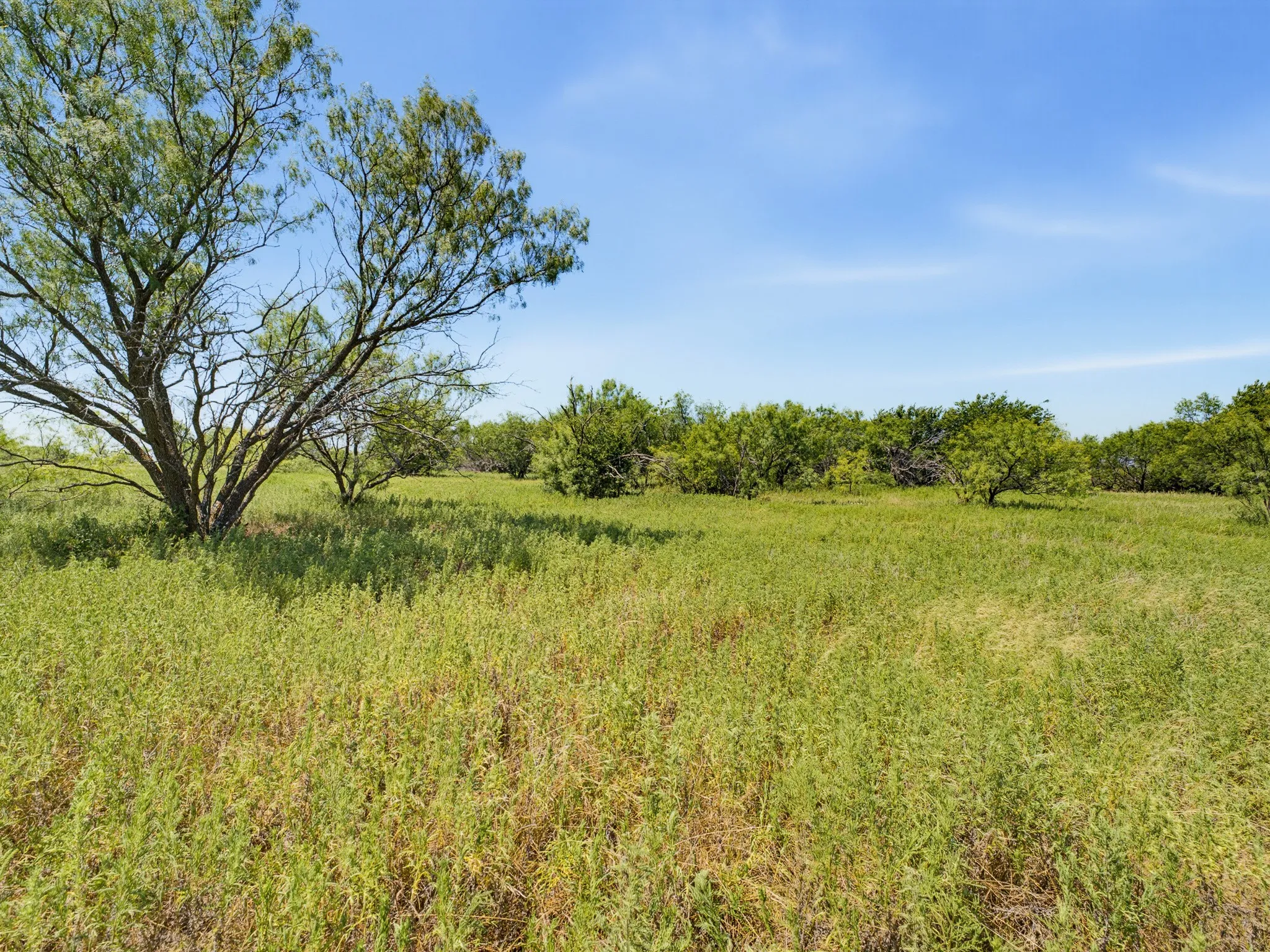 Unimproved Land For Sale in Montague County , TBD 59+/- Acres Applegate Rd, Bowie, Texas 76230, 0, 0, Garage spaces, 0 Sqft, built in 0, mls#21339297, Real Estate Agent in Bowie, Homes For Sale in Montague county, Homes For Sale in Bowie, Realtor in Bowie Texas, Real Estate Brokerage Independent Realty Texas, Luminita Cordes Realtor
