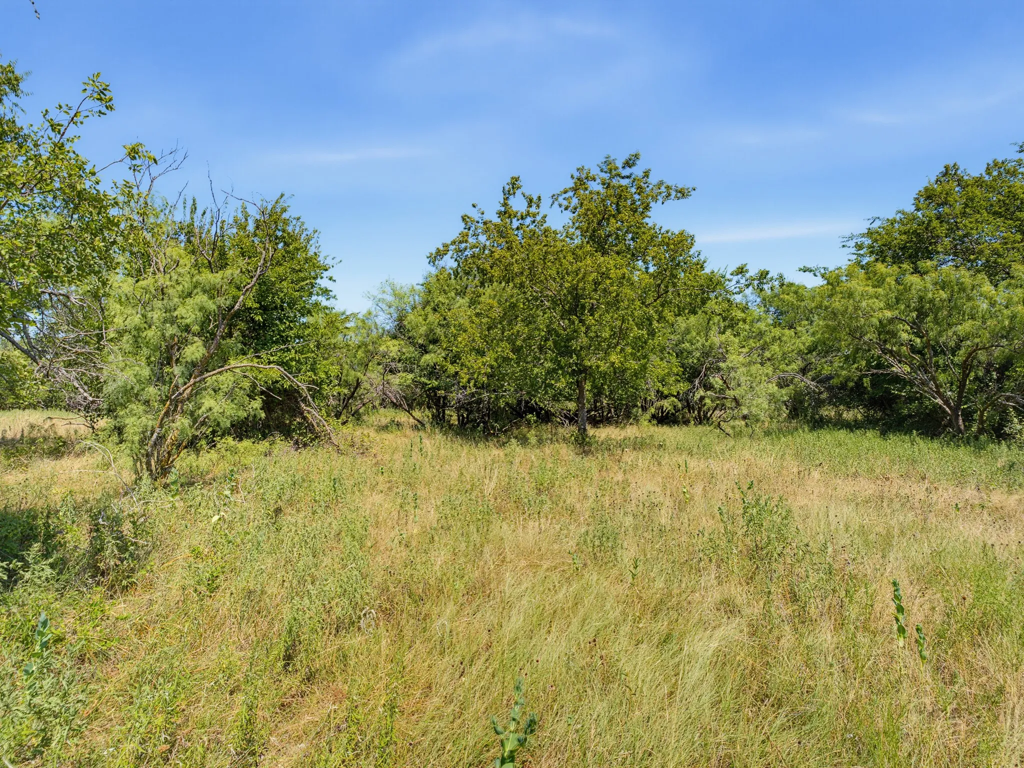 Unimproved Land For Sale in Montague County , TBD 59+/- Acres Applegate Rd, Bowie, Texas 76230, 0, 0, Garage spaces, 0 Sqft, built in 0, mls#21339297, Real Estate Agent in Bowie, Homes For Sale in Montague county, Homes For Sale in Bowie, Realtor in Bowie Texas, Real Estate Brokerage Independent Realty Texas, Luminita Cordes Realtor