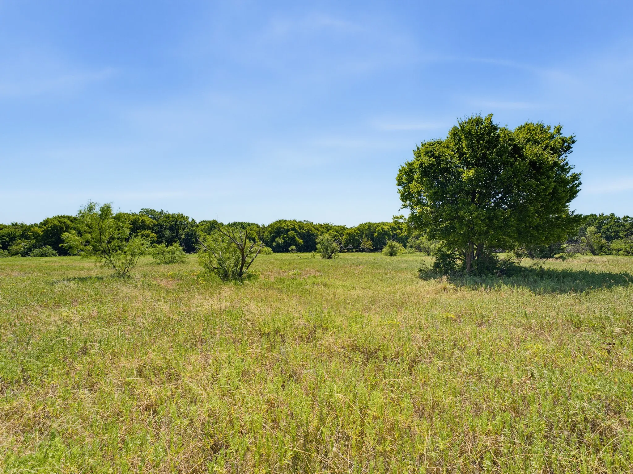 Unimproved Land For Sale in Montague County , TBD 59+/- Acres Applegate Rd, Bowie, Texas 76230, 0, 0, Garage spaces, 0 Sqft, built in 0, mls#21339297, Real Estate Agent in Bowie, Homes For Sale in Montague county, Homes For Sale in Bowie, Realtor in Bowie Texas, Real Estate Brokerage Independent Realty Texas, Luminita Cordes Realtor