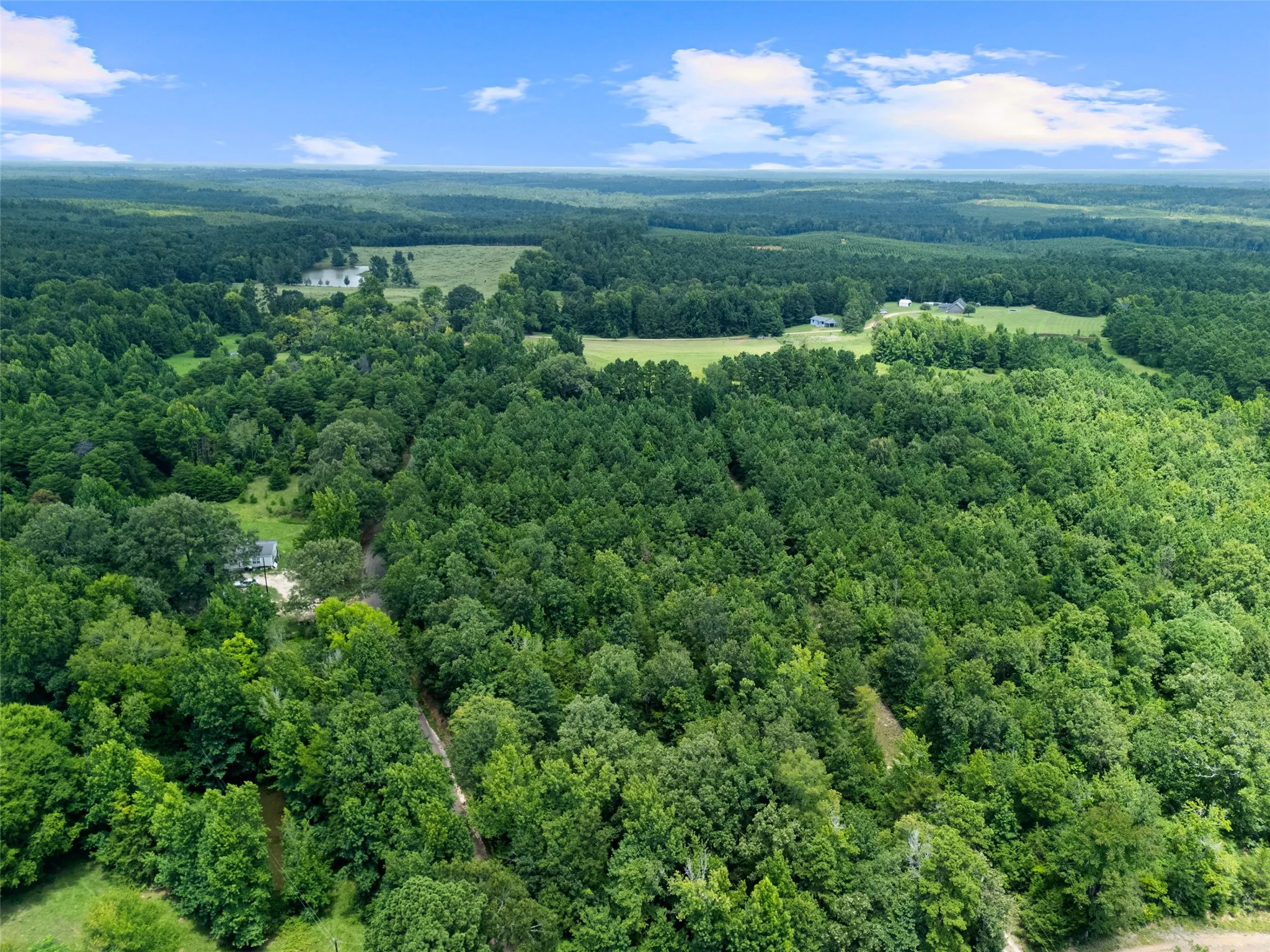 Single Family Residence For Sale in Cass County , 2847 1764 Road, Jefferson, Texas 75657, 5 Bedroom, 3 Bathroom, 2 Garage spaces, 2,400 Sqft, built in 2007, mls#21344356, Real Estate Agent in Jefferson, Homes For Sale in Cass county, Homes For Sale in Jefferson, Realtor in Jefferson Texas, Real Estate Brokerage Independent Realty Texas, Luminita Cordes Realtor