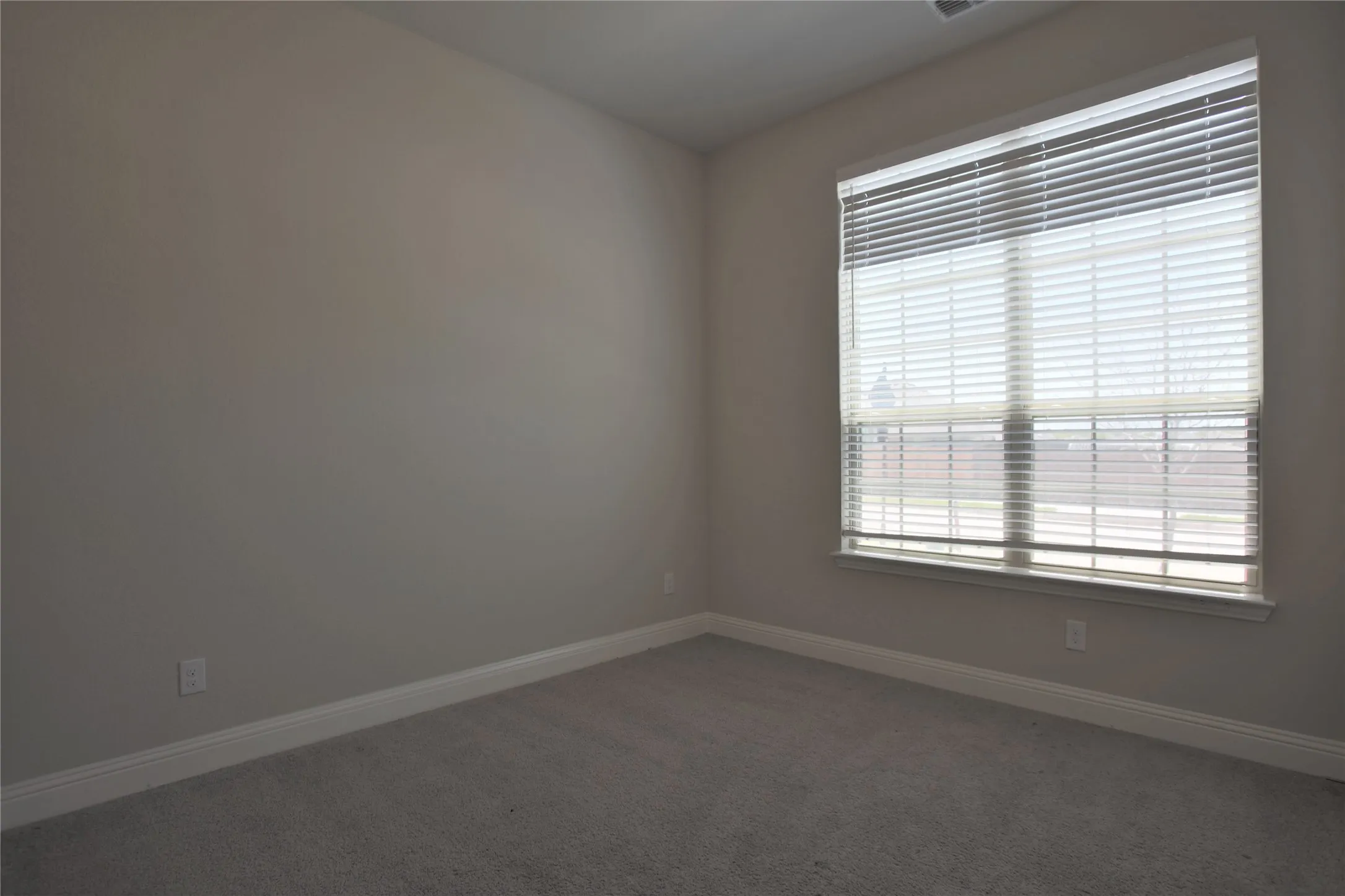 Carpeted room featuring a large window with blinds, light gray walls, and white baseboards