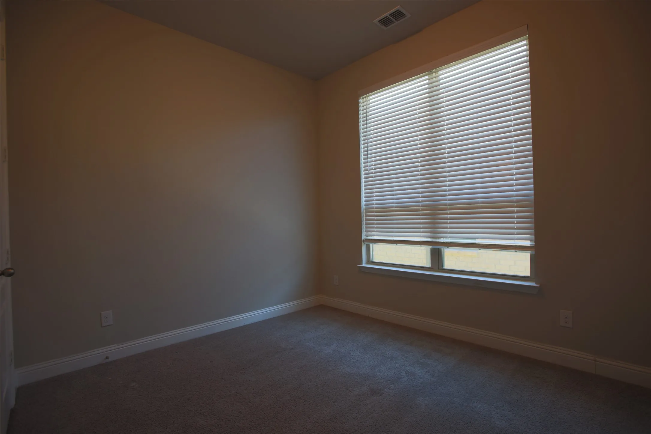 Neutral tone wall paint, textured carpet flooring, and white trim molding