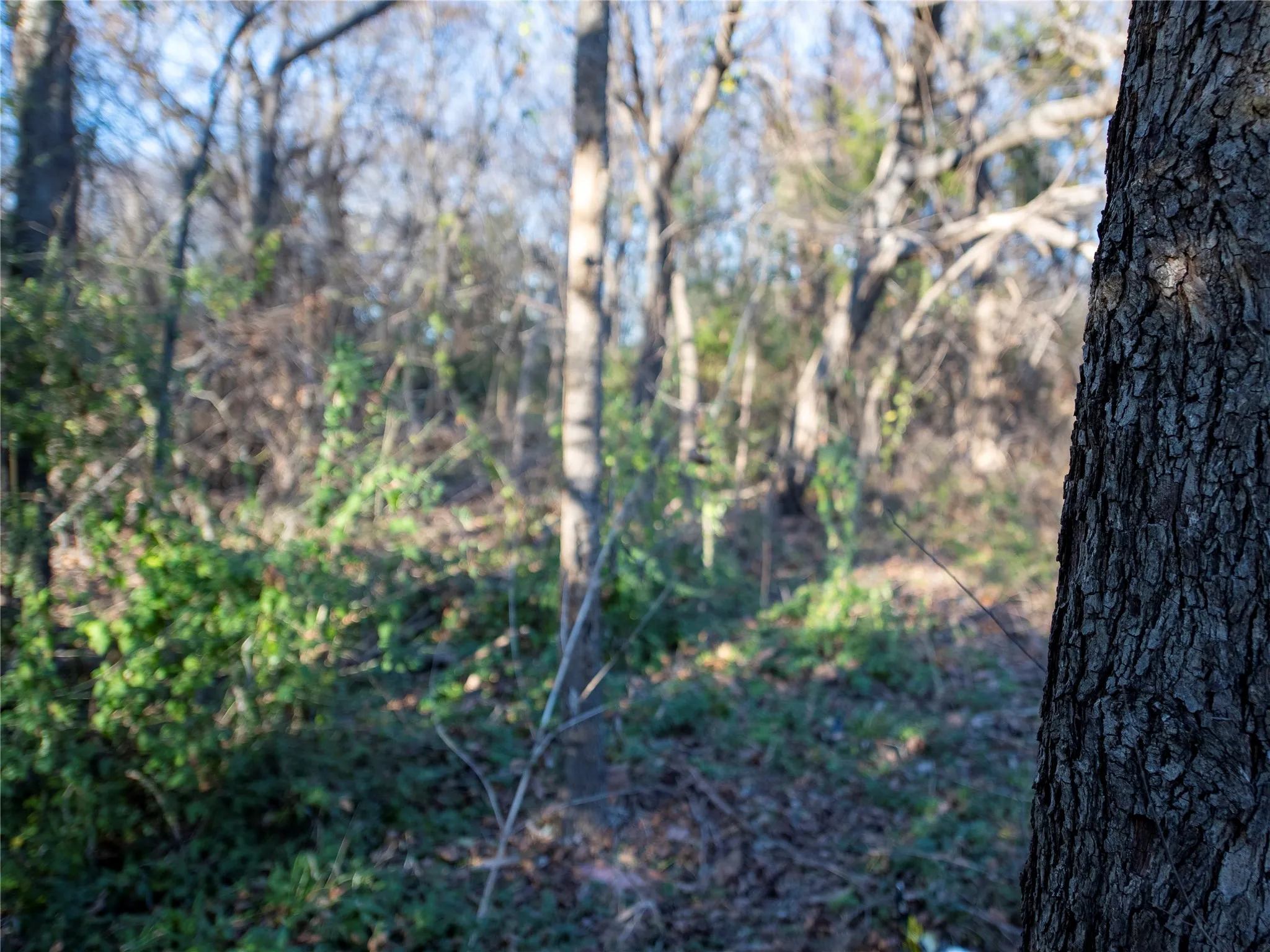 Unimproved Land For Sale in Dallas County , 2701 Ames Road, Lancaster, Texas 75134, 0, 0, Garage spaces, 0 Sqft, built in 0, Price $298,500, mls#21344473, Real Estate Agent in Lancaster, Homes For Sale in Dallas county, Homes For Sale in Lancaster, Realtor in Lancaster Texas, Real Estate Brokerage Independent Realty Texas, Luminita Cordes Realtor