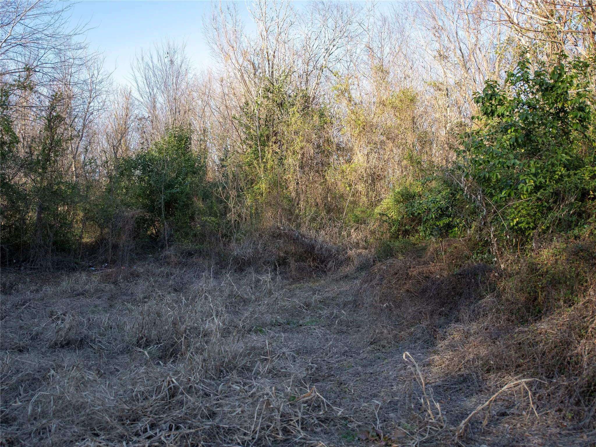 Unimproved Land For Sale in Dallas County , 2701 Ames Road, Lancaster, Texas 75134, 0, 0, Garage spaces, 0 Sqft, built in 0, Price $298,500, mls#21344473, Real Estate Agent in Lancaster, Homes For Sale in Dallas county, Homes For Sale in Lancaster, Realtor in Lancaster Texas, Real Estate Brokerage Independent Realty Texas, Luminita Cordes Realtor