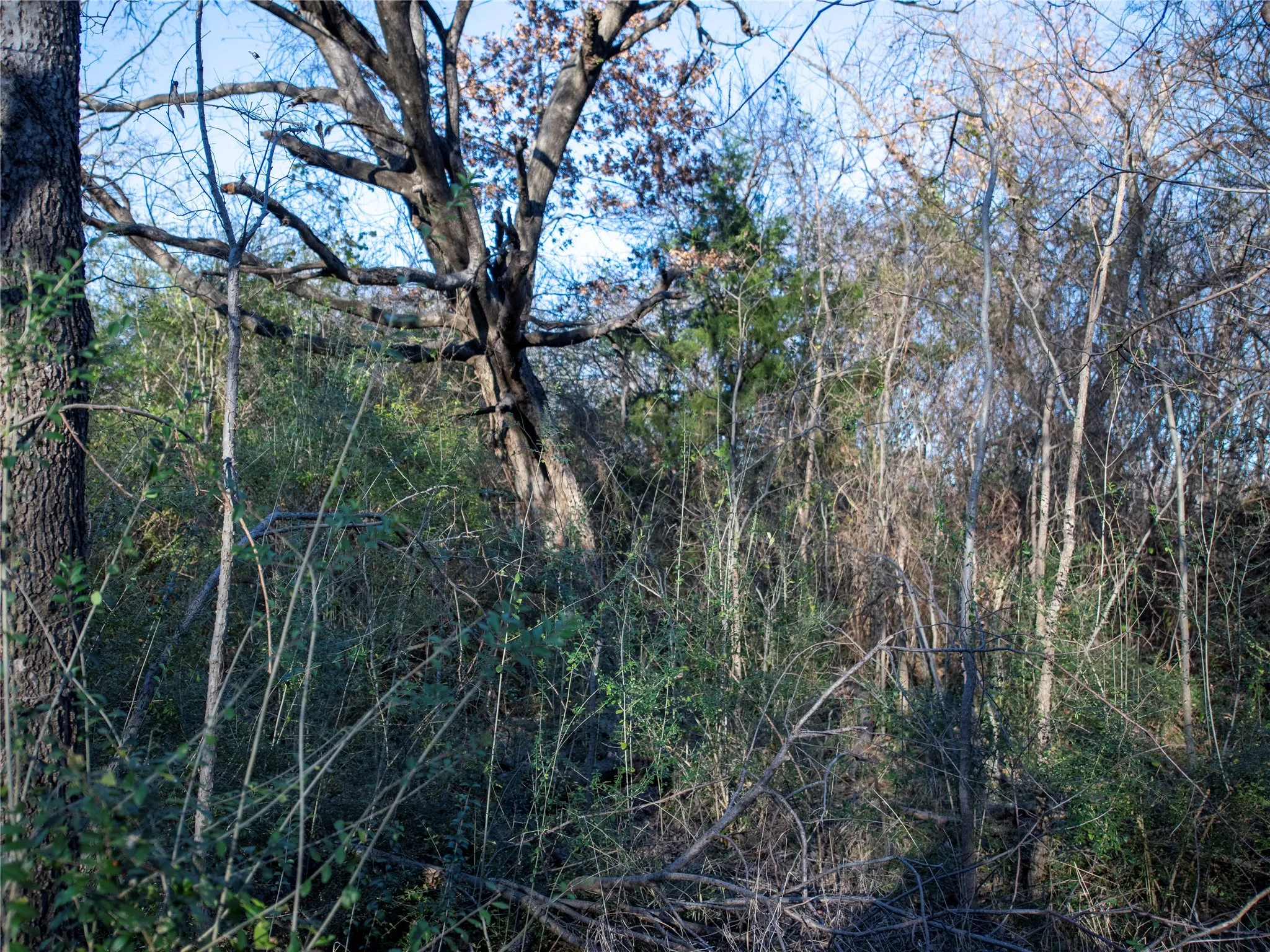 Unimproved Land For Sale in Dallas County , 2701 Ames Road, Lancaster, Texas 75134, 0, 0, Garage spaces, 0 Sqft, built in 0, Price $298,500, mls#21344473, Real Estate Agent in Lancaster, Homes For Sale in Dallas county, Homes For Sale in Lancaster, Realtor in Lancaster Texas, Real Estate Brokerage Independent Realty Texas, Luminita Cordes Realtor