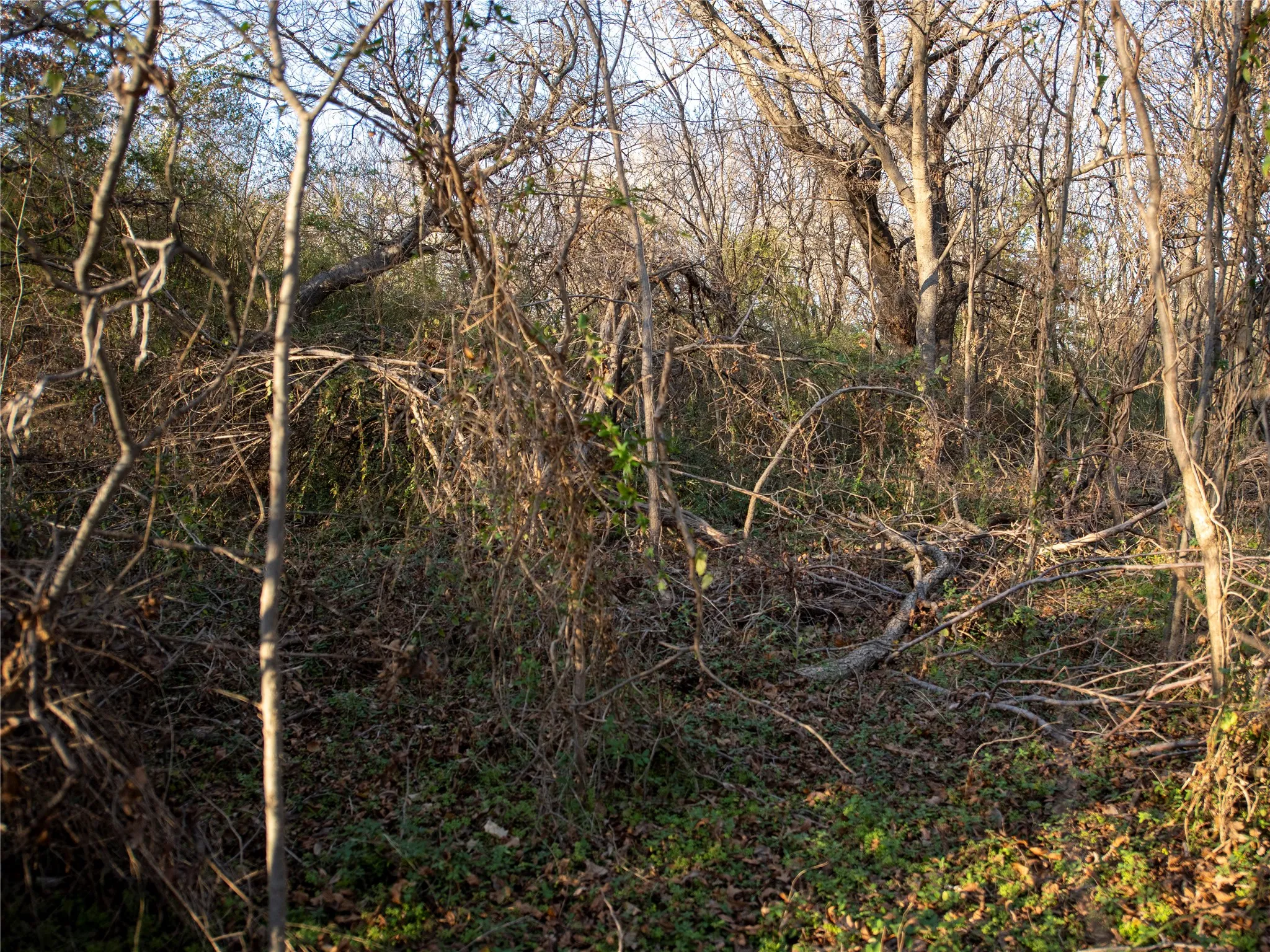 Unimproved Land For Sale in Dallas County , 2701 Ames Road, Lancaster, Texas 75134, 0, 0, Garage spaces, 0 Sqft, built in 0, Price $298,500, mls#21344473, Real Estate Agent in Lancaster, Homes For Sale in Dallas county, Homes For Sale in Lancaster, Realtor in Lancaster Texas, Real Estate Brokerage Independent Realty Texas, Luminita Cordes Realtor