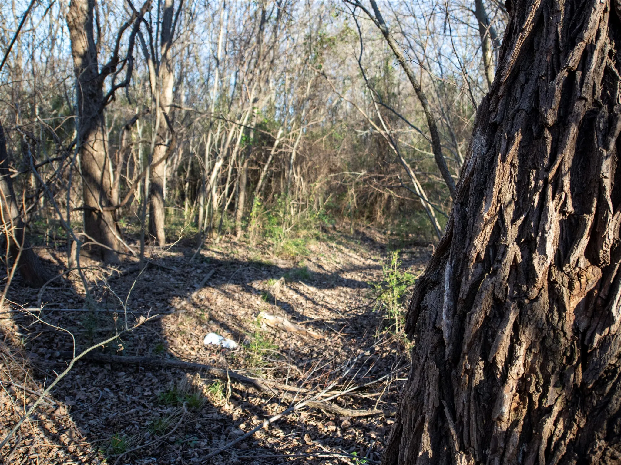 Unimproved Land For Sale in Dallas County , 2701 Ames Road, Lancaster, Texas 75134, 0, 0, Garage spaces, 0 Sqft, built in 0, Price $298,500, mls#21344473, Real Estate Agent in Lancaster, Homes For Sale in Dallas county, Homes For Sale in Lancaster, Realtor in Lancaster Texas, Real Estate Brokerage Independent Realty Texas, Luminita Cordes Realtor