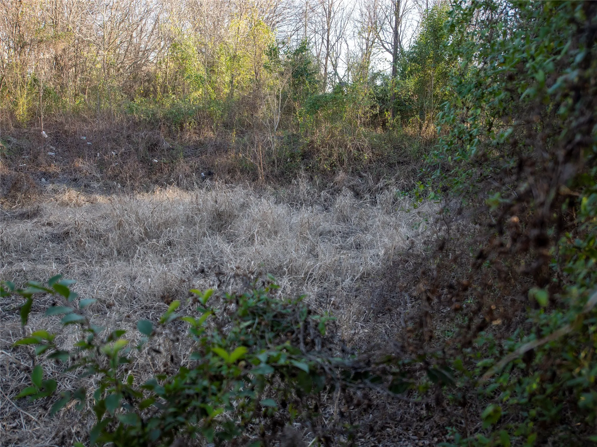 Unimproved Land For Sale in Dallas County , 2701 Ames Road, Lancaster, Texas 75134, 0, 0, Garage spaces, 0 Sqft, built in 0, Price $298,500, mls#21344473, Real Estate Agent in Lancaster, Homes For Sale in Dallas county, Homes For Sale in Lancaster, Realtor in Lancaster Texas, Real Estate Brokerage Independent Realty Texas, Luminita Cordes Realtor