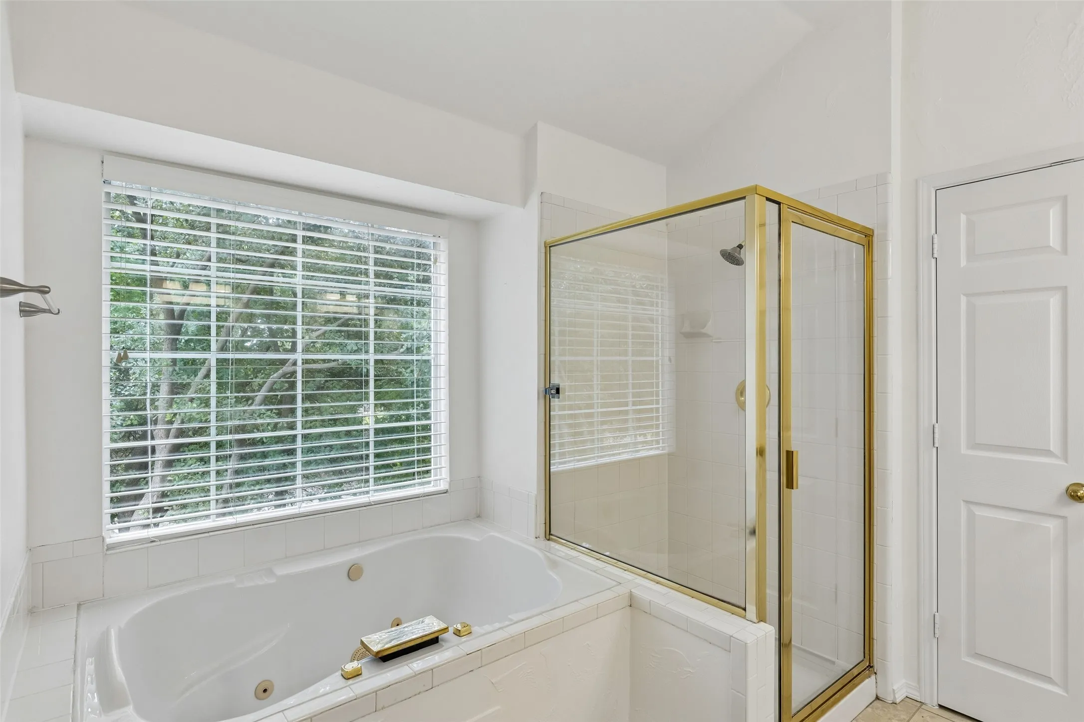 Jetted tub and oversized shower