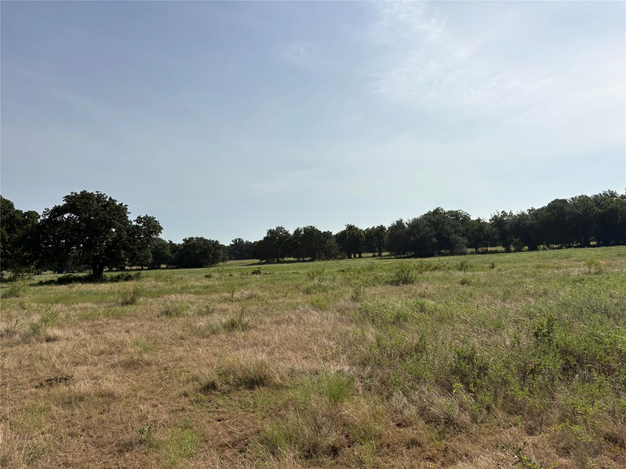 Unimproved Land For Sale in Bosque County , TBD Highway 6, Hico, Texas 76457, 0, 0, Garage spaces, 0 Sqft, built in 0, Price $600,000, mls#21344525, Real Estate Agent in Hico, Homes For Sale in Bosque county, Homes For Sale in Hico, Realtor in Hico Texas, Real Estate Brokerage Independent Realty Texas, Luminita Cordes Realtor