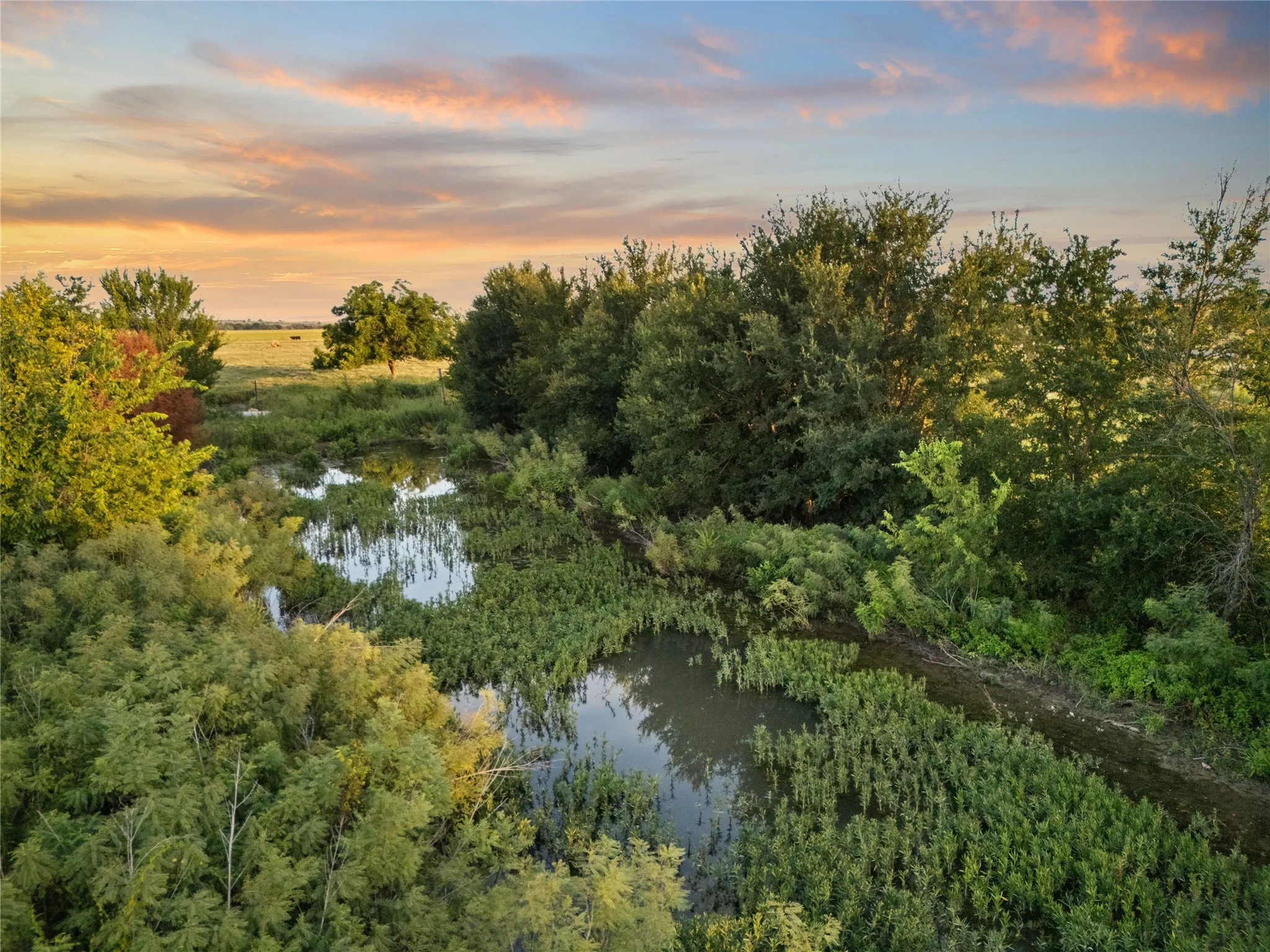 Improved Land For Sale in Bosque County , 1549 FM 219, Clifton, Texas 76634, 0, 0, Garage spaces, 0 Sqft, built in 0, mls#21342339, Real Estate Agent in Clifton, Homes For Sale in Bosque county, Homes For Sale in Clifton, Realtor in Clifton Texas, Real Estate Brokerage Independent Realty Texas, Luminita Cordes Realtor