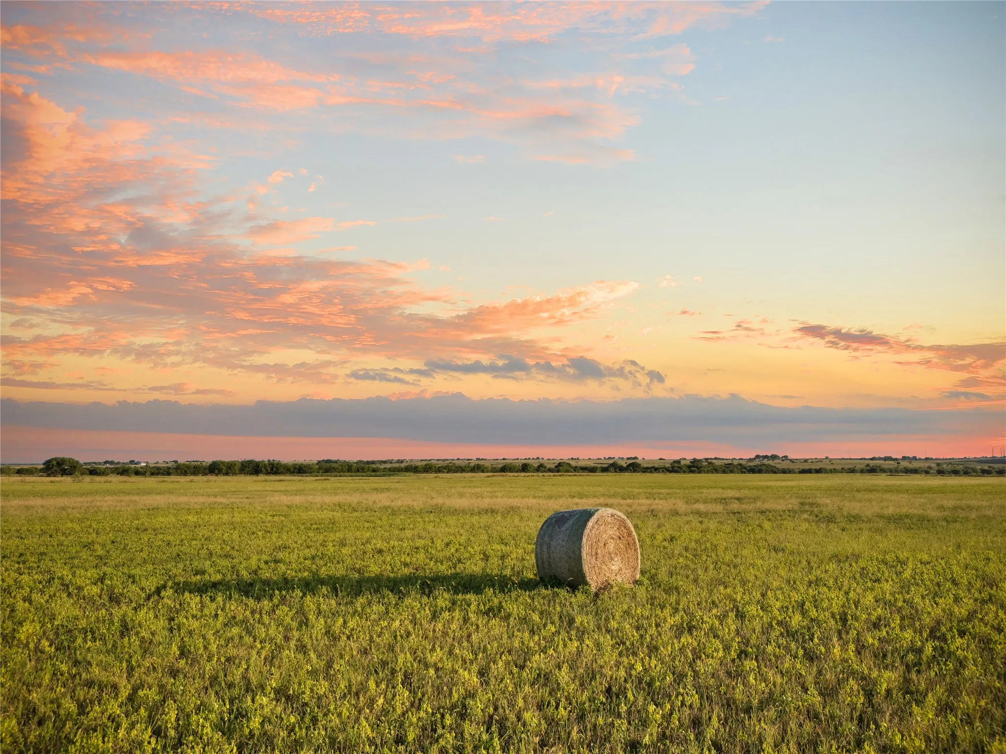 Improved Land For Sale in Bosque County , 1549 FM 219, Clifton, Texas 76634, 0, 0, Garage spaces, 0 Sqft, built in 0, mls#21342339, Real Estate Agent in Clifton, Homes For Sale in Bosque county, Homes For Sale in Clifton, Realtor in Clifton Texas, Real Estate Brokerage Independent Realty Texas, Luminita Cordes Realtor