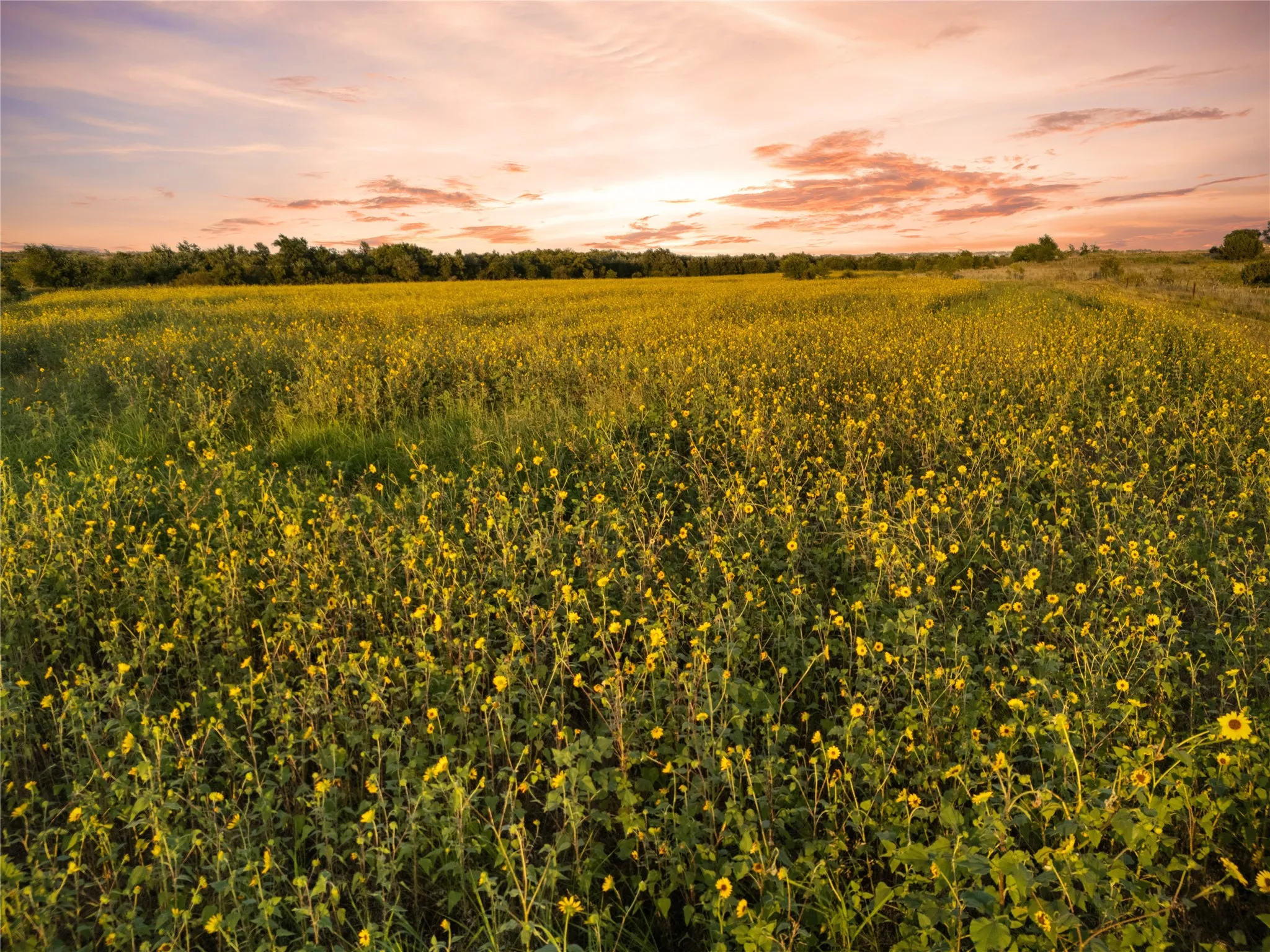 Improved Land For Sale in Bosque County , 1549 FM 219, Clifton, Texas 76634, 0, 0, Garage spaces, 0 Sqft, built in 0, mls#21342339, Real Estate Agent in Clifton, Homes For Sale in Bosque county, Homes For Sale in Clifton, Realtor in Clifton Texas, Real Estate Brokerage Independent Realty Texas, Luminita Cordes Realtor