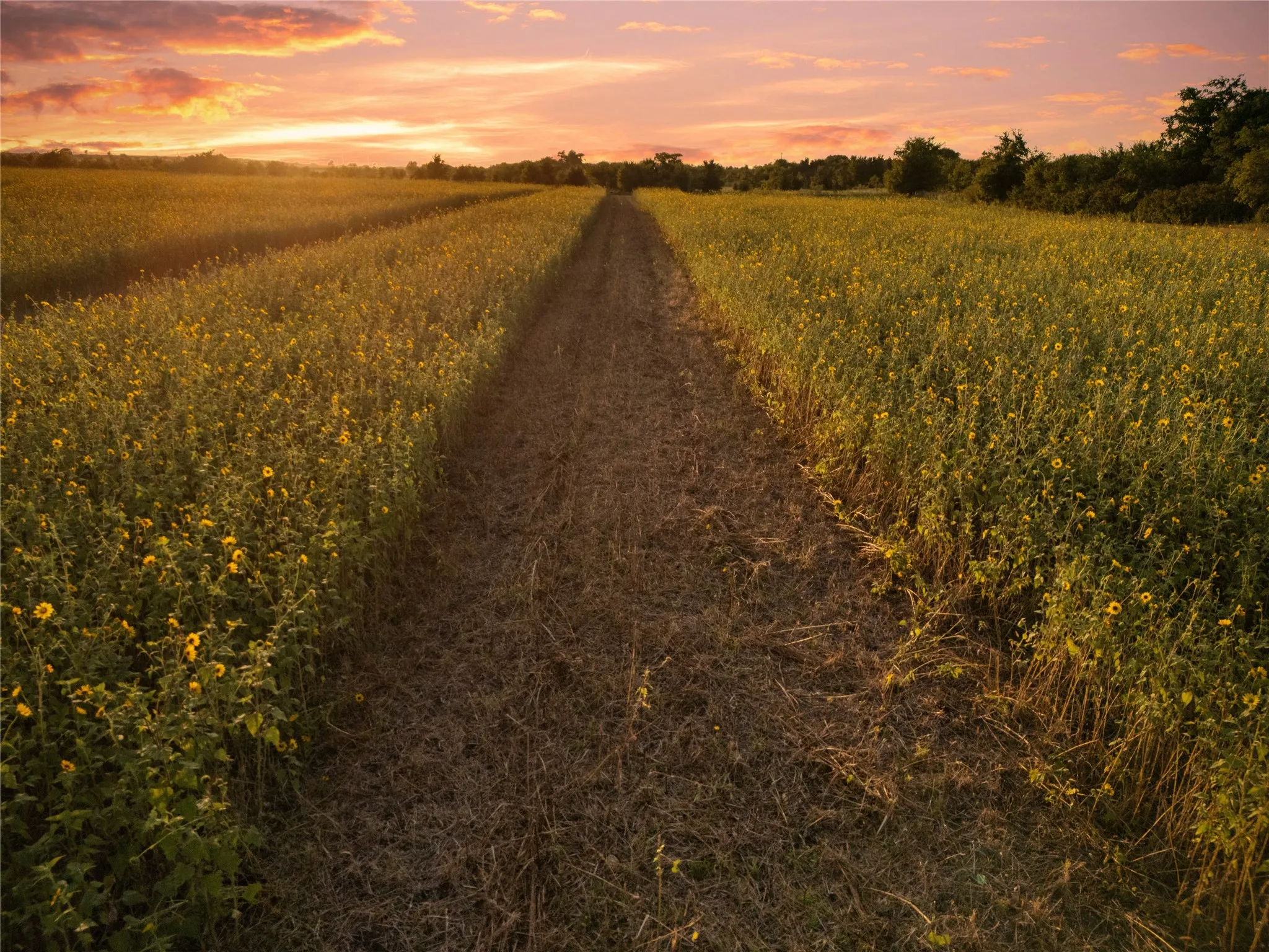 Improved Land For Sale in Bosque County , 1549 FM 219, Clifton, Texas 76634, 0, 0, Garage spaces, 0 Sqft, built in 0, mls#21342339, Real Estate Agent in Clifton, Homes For Sale in Bosque county, Homes For Sale in Clifton, Realtor in Clifton Texas, Real Estate Brokerage Independent Realty Texas, Luminita Cordes Realtor