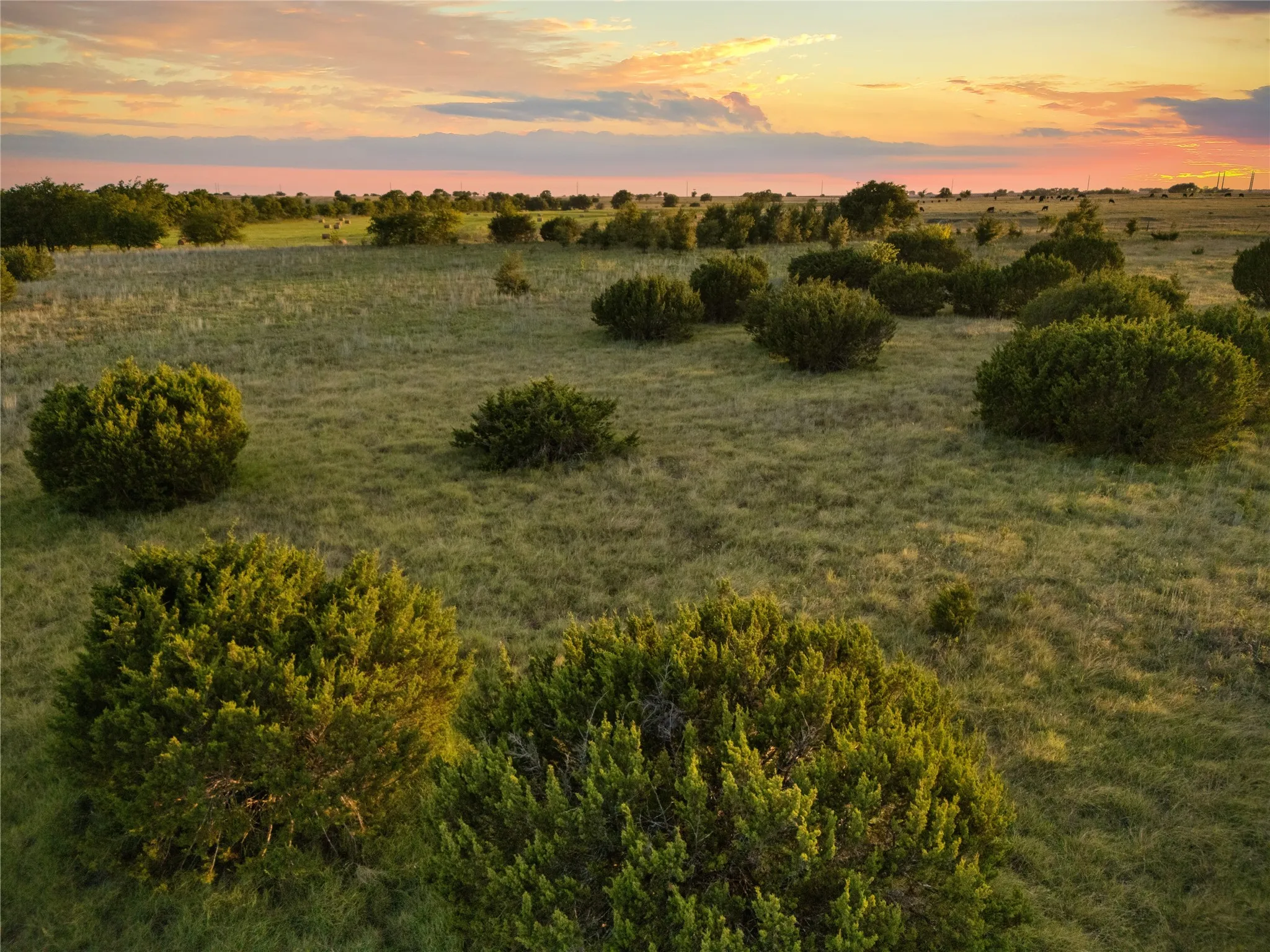 Improved Land For Sale in Bosque County , 1549 FM 219, Clifton, Texas 76634, 0, 0, Garage spaces, 0 Sqft, built in 0, mls#21342339, Real Estate Agent in Clifton, Homes For Sale in Bosque county, Homes For Sale in Clifton, Realtor in Clifton Texas, Real Estate Brokerage Independent Realty Texas, Luminita Cordes Realtor