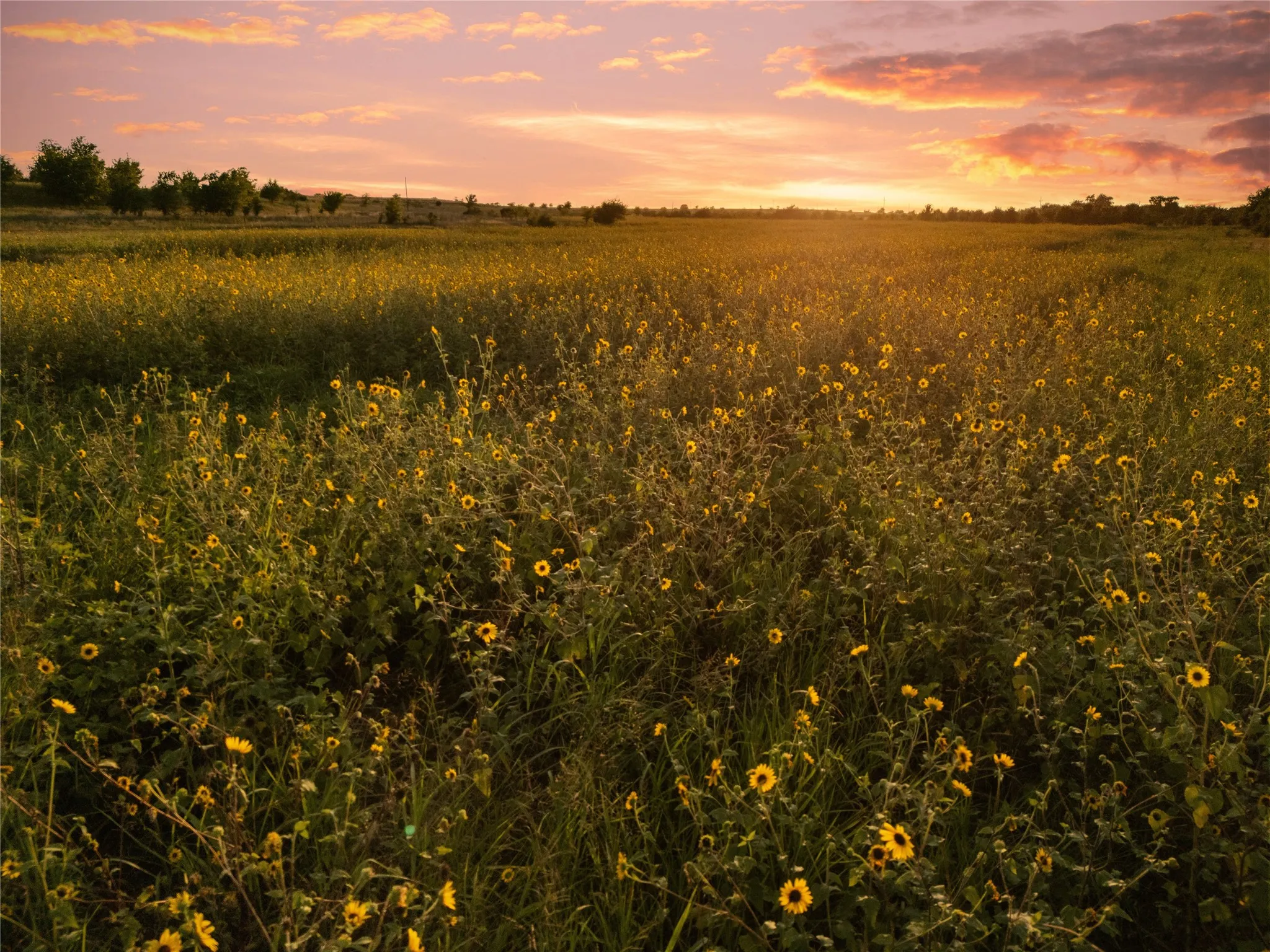 Improved Land For Sale in Bosque County , 1549 FM 219, Clifton, Texas 76634, 0, 0, Garage spaces, 0 Sqft, built in 0, mls#21342339, Real Estate Agent in Clifton, Homes For Sale in Bosque county, Homes For Sale in Clifton, Realtor in Clifton Texas, Real Estate Brokerage Independent Realty Texas, Luminita Cordes Realtor