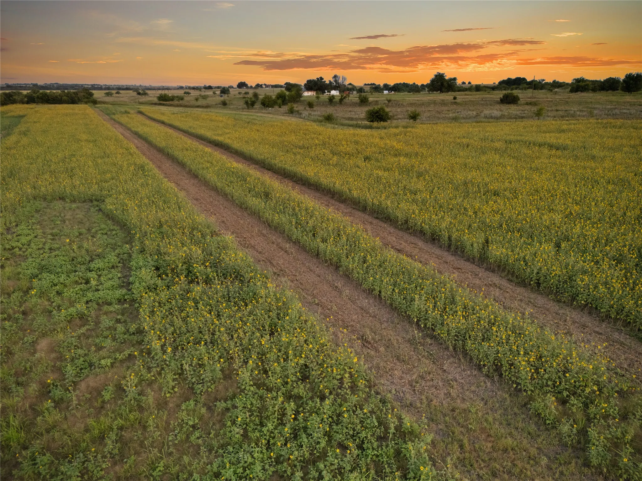 Improved Land For Sale in Bosque County , 1549 FM 219, Clifton, Texas 76634, 0, 0, Garage spaces, 0 Sqft, built in 0, mls#21342339, Real Estate Agent in Clifton, Homes For Sale in Bosque county, Homes For Sale in Clifton, Realtor in Clifton Texas, Real Estate Brokerage Independent Realty Texas, Luminita Cordes Realtor