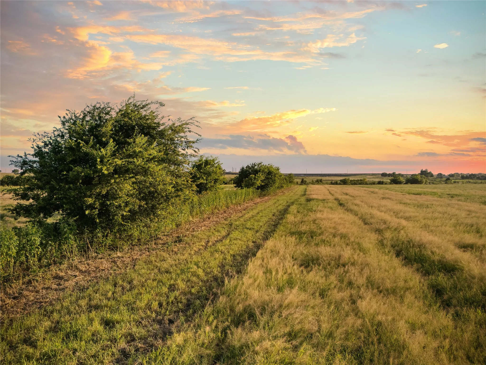 Improved Land For Sale in Bosque County , 1549 FM 219, Clifton, Texas 76634, 0, 0, Garage spaces, 0 Sqft, built in 0, mls#21342339, Real Estate Agent in Clifton, Homes For Sale in Bosque county, Homes For Sale in Clifton, Realtor in Clifton Texas, Real Estate Brokerage Independent Realty Texas, Luminita Cordes Realtor