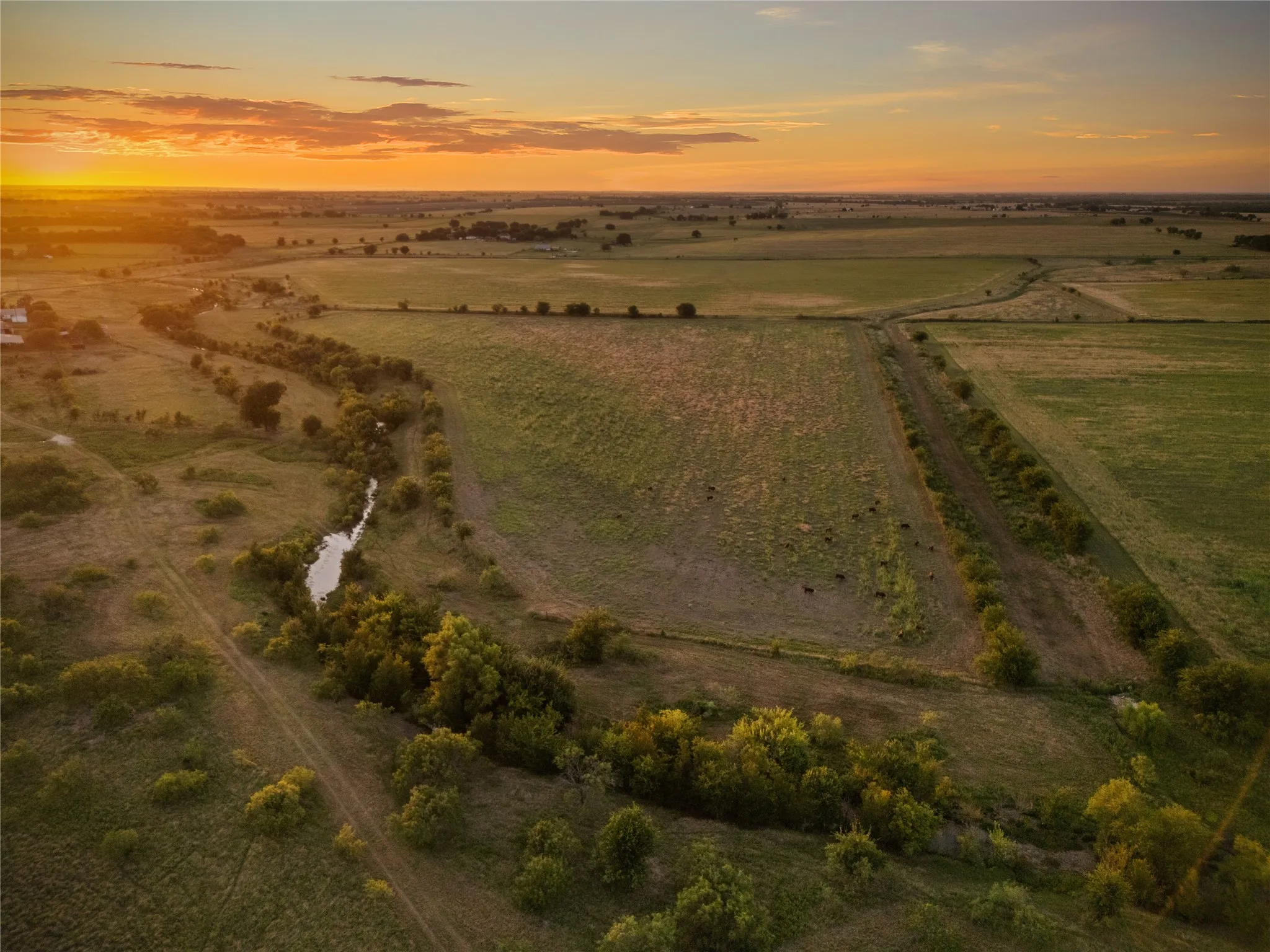 Improved Land For Sale in Bosque County , 1549 FM 219, Clifton, Texas 76634, 0, 0, Garage spaces, 0 Sqft, built in 0, mls#21342339, Real Estate Agent in Clifton, Homes For Sale in Bosque county, Homes For Sale in Clifton, Realtor in Clifton Texas, Real Estate Brokerage Independent Realty Texas, Luminita Cordes Realtor