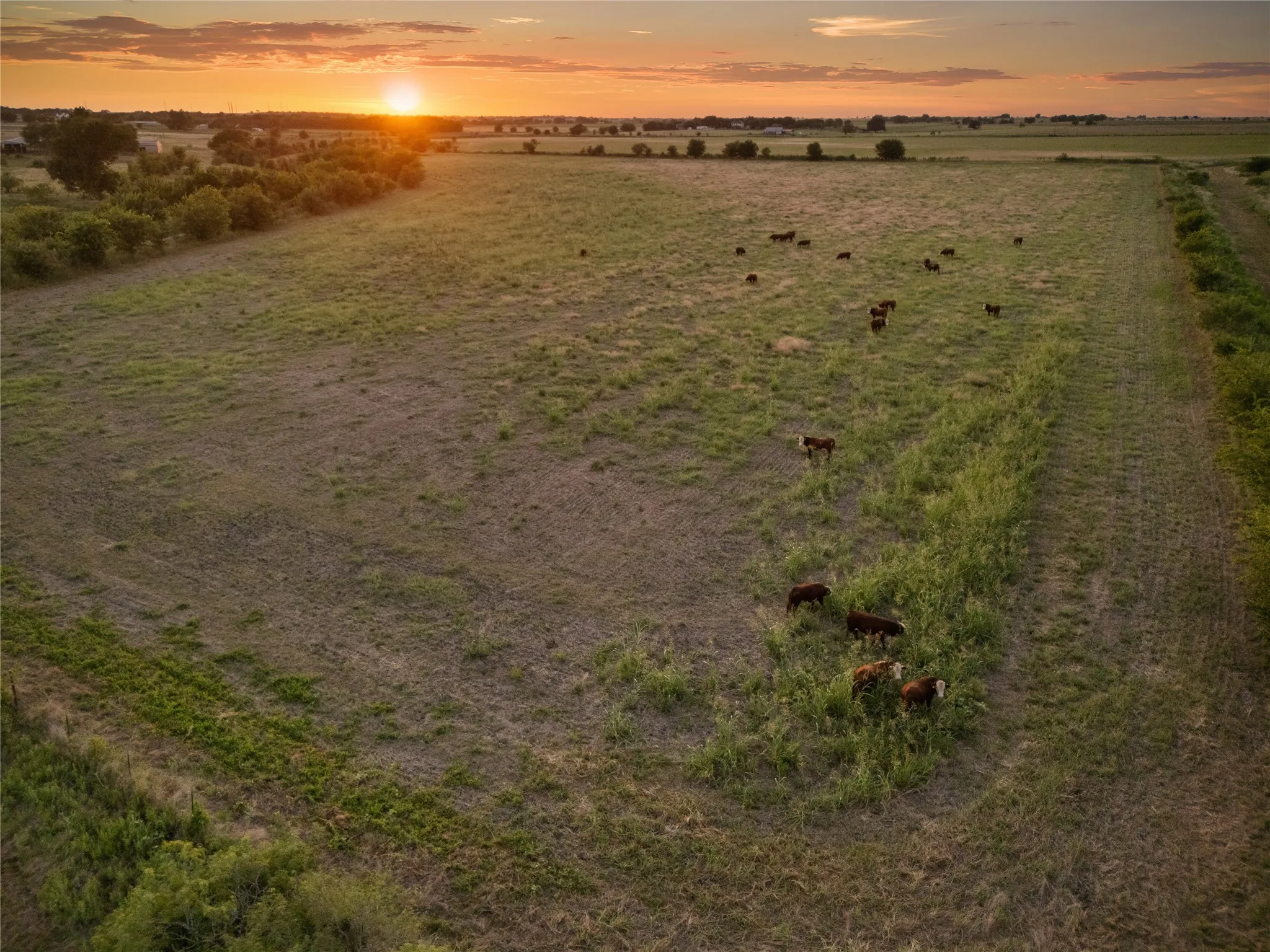 Improved Land For Sale in Bosque County , 1549 FM 219, Clifton, Texas 76634, 0, 0, Garage spaces, 0 Sqft, built in 0, mls#21342339, Real Estate Agent in Clifton, Homes For Sale in Bosque county, Homes For Sale in Clifton, Realtor in Clifton Texas, Real Estate Brokerage Independent Realty Texas, Luminita Cordes Realtor