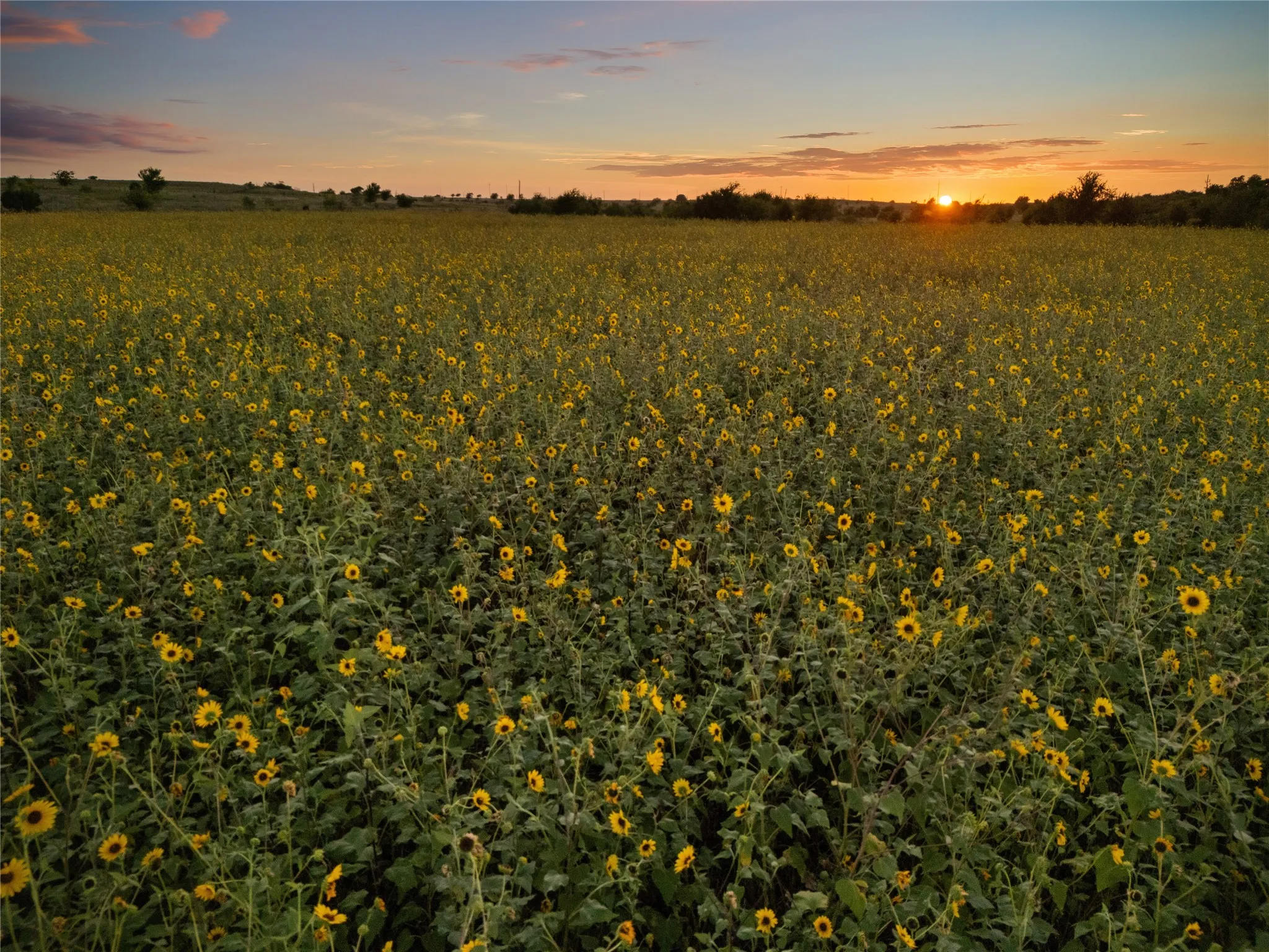 Improved Land For Sale in Bosque County , 1549 FM 219, Clifton, Texas 76634, 0, 0, Garage spaces, 0 Sqft, built in 0, mls#21342339, Real Estate Agent in Clifton, Homes For Sale in Bosque county, Homes For Sale in Clifton, Realtor in Clifton Texas, Real Estate Brokerage Independent Realty Texas, Luminita Cordes Realtor