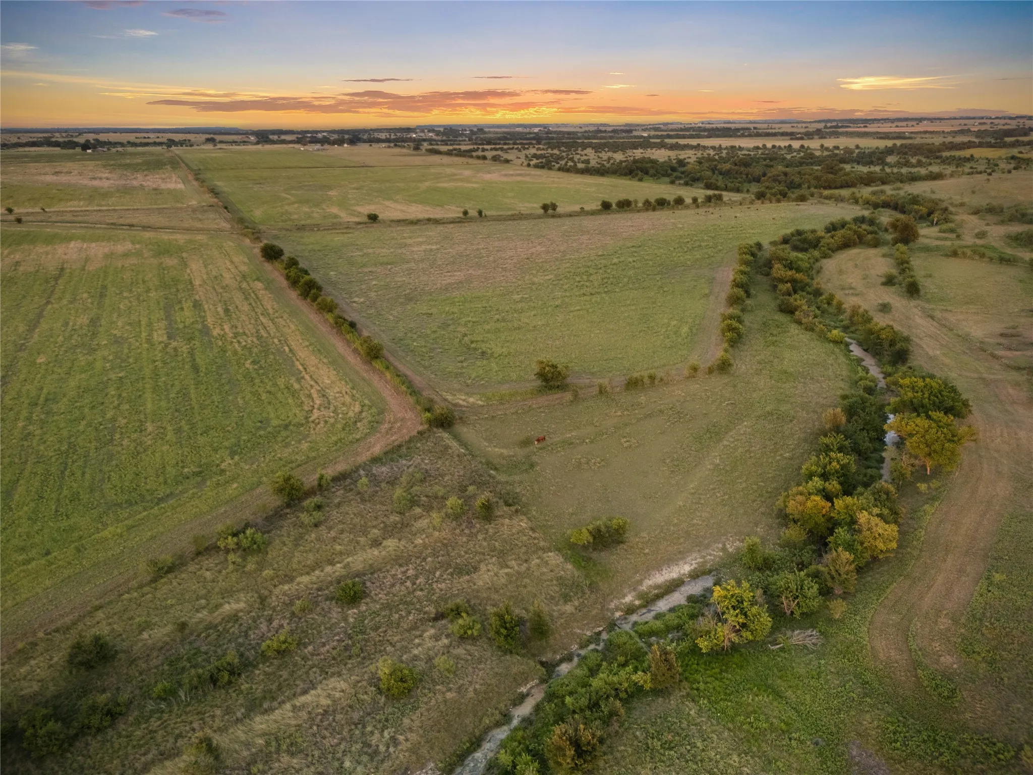 Improved Land For Sale in Bosque County , 1549 FM 219, Clifton, Texas 76634, 0, 0, Garage spaces, 0 Sqft, built in 0, mls#21342339, Real Estate Agent in Clifton, Homes For Sale in Bosque county, Homes For Sale in Clifton, Realtor in Clifton Texas, Real Estate Brokerage Independent Realty Texas, Luminita Cordes Realtor