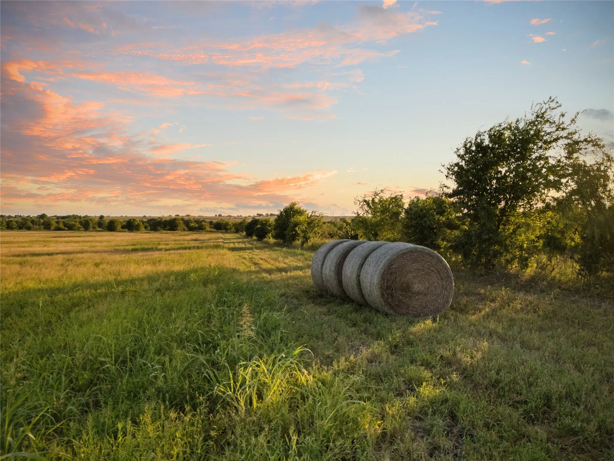 Improved Land For Sale in Bosque County , 1549 FM 219, Clifton, Texas 76634, 0, 0, Garage spaces, 0 Sqft, built in 0, mls#21342339, Real Estate Agent in Clifton, Homes For Sale in Bosque county, Homes For Sale in Clifton, Realtor in Clifton Texas, Real Estate Brokerage Independent Realty Texas, Luminita Cordes Realtor