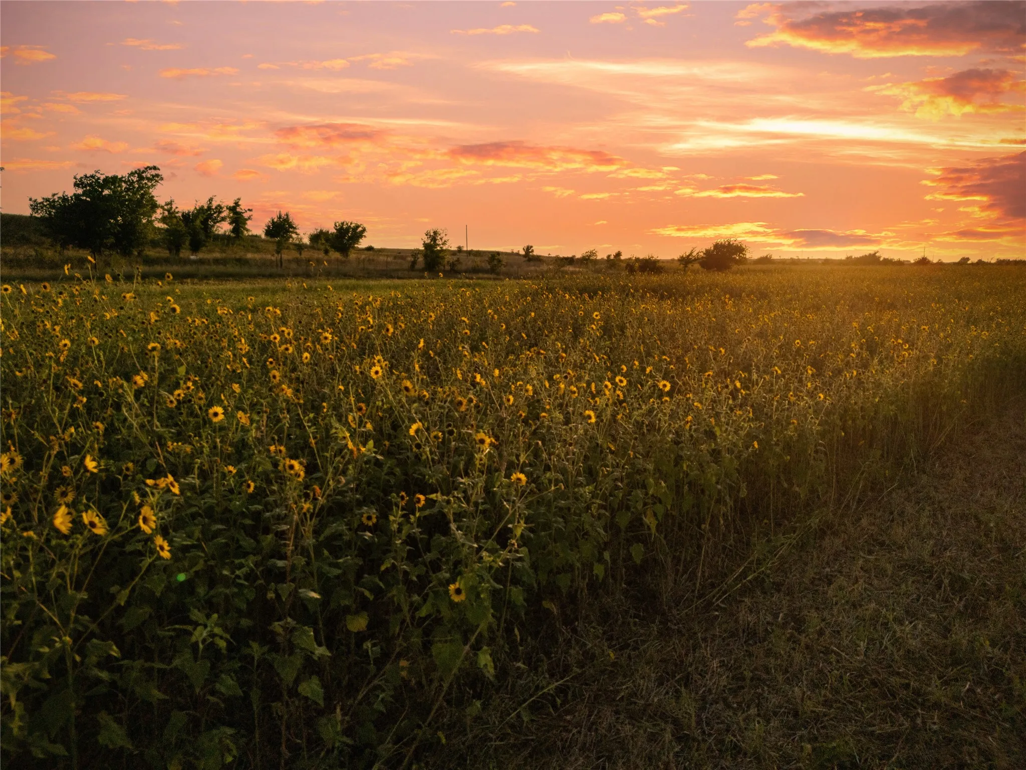 Improved Land For Sale in Bosque County , 1549 FM 219, Clifton, Texas 76634, 0, 0, Garage spaces, 0 Sqft, built in 0, mls#21342339, Real Estate Agent in Clifton, Homes For Sale in Bosque county, Homes For Sale in Clifton, Realtor in Clifton Texas, Real Estate Brokerage Independent Realty Texas, Luminita Cordes Realtor