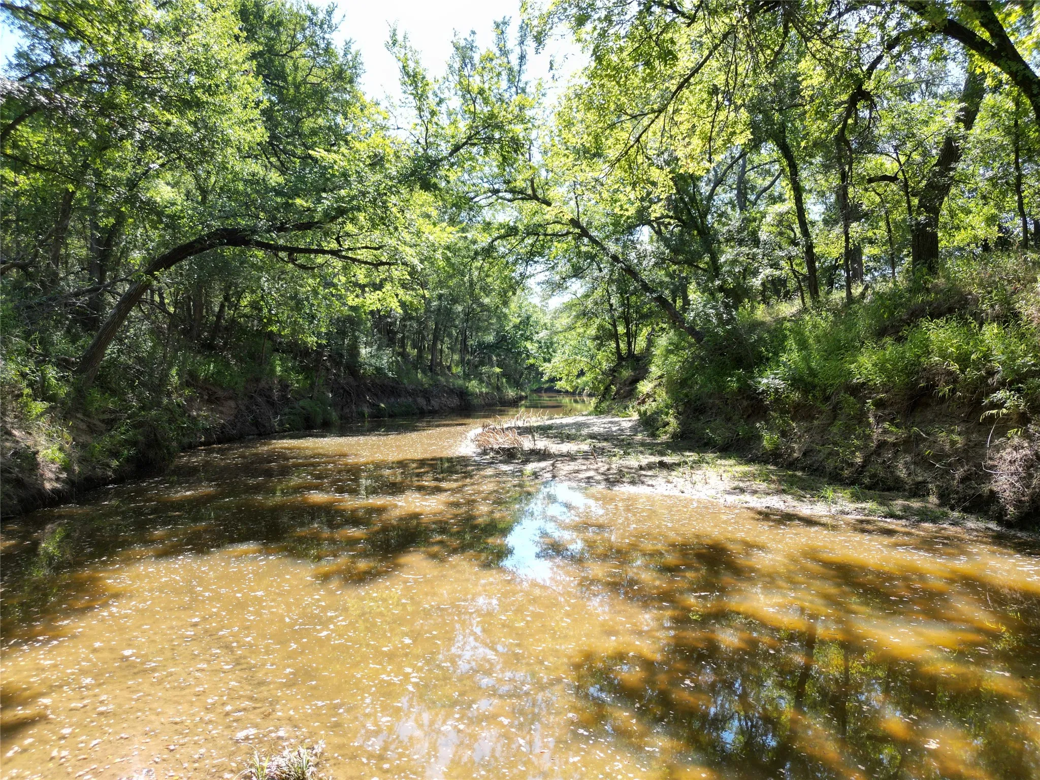 Ranch For Sale in Eastland County , TBD Co Rd 351, Eastland, Texas 76448, 0, 0, Garage spaces, 0 Sqft, built in 0, Price $5,593,750, mls#21344539, Real Estate Agent in Eastland, Homes For Sale in Eastland county, Homes For Sale in Eastland, Realtor in Eastland Texas, Real Estate Brokerage Independent Realty Texas, Luminita Cordes Realtor