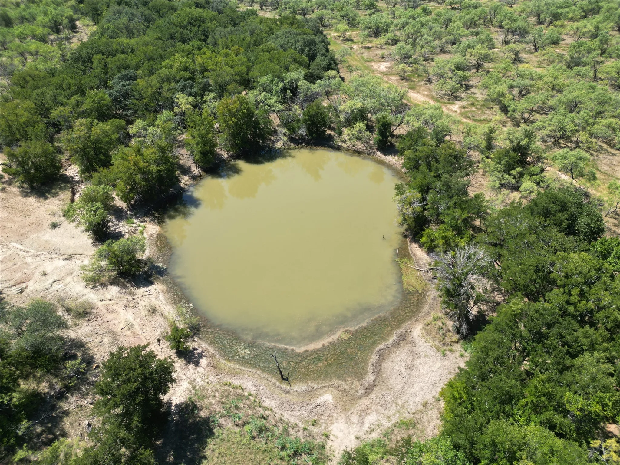 Ranch For Sale in Eastland County , TBD Co Rd 351, Eastland, Texas 76448, 0, 0, Garage spaces, 0 Sqft, built in 0, Price $5,593,750, mls#21344539, Real Estate Agent in Eastland, Homes For Sale in Eastland county, Homes For Sale in Eastland, Realtor in Eastland Texas, Real Estate Brokerage Independent Realty Texas, Luminita Cordes Realtor