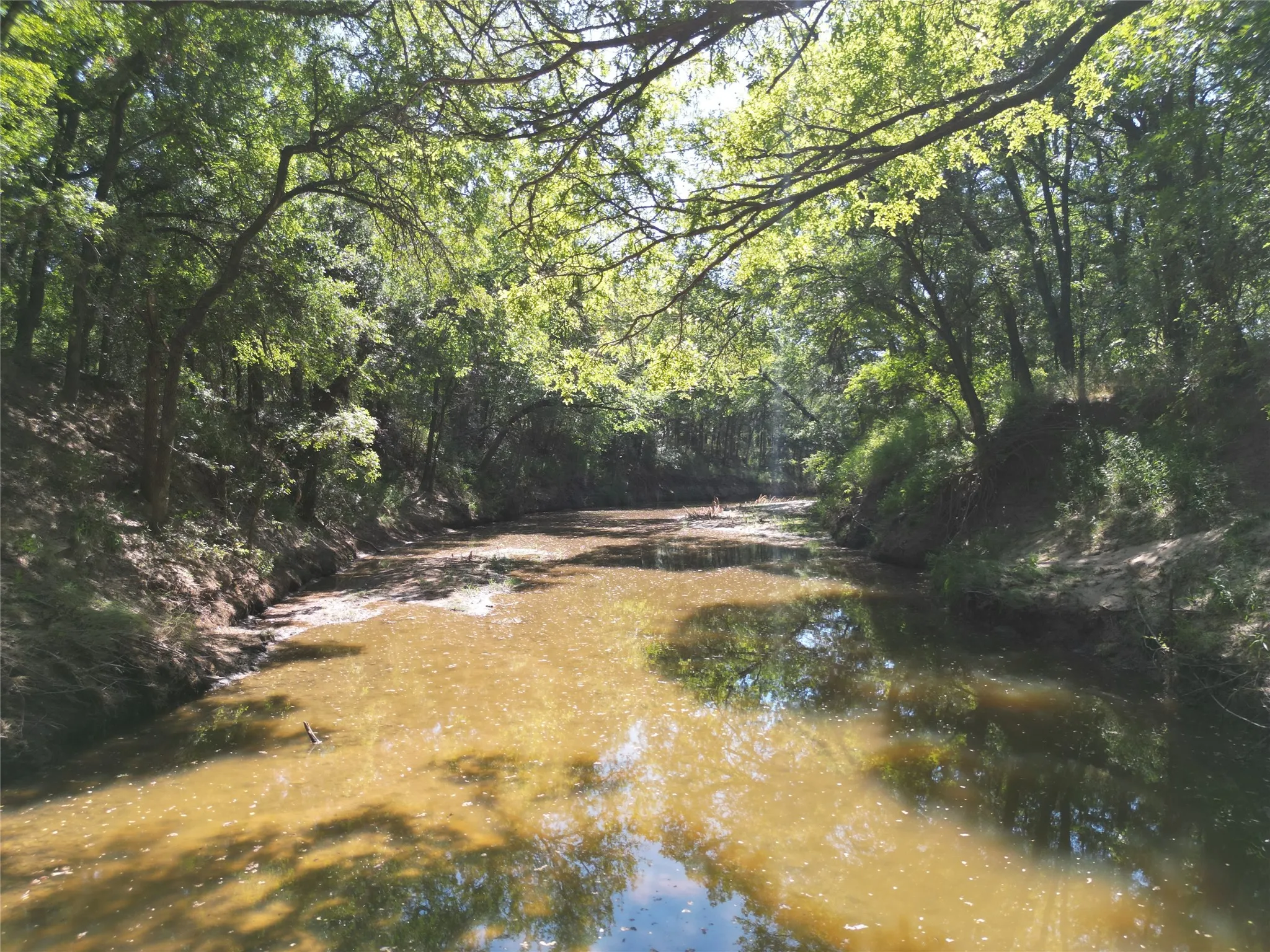 Ranch For Sale in Eastland County , TBD Co Rd 351, Eastland, Texas 76448, 0, 0, Garage spaces, 0 Sqft, built in 0, Price $5,593,750, mls#21344539, Real Estate Agent in Eastland, Homes For Sale in Eastland county, Homes For Sale in Eastland, Realtor in Eastland Texas, Real Estate Brokerage Independent Realty Texas, Luminita Cordes Realtor