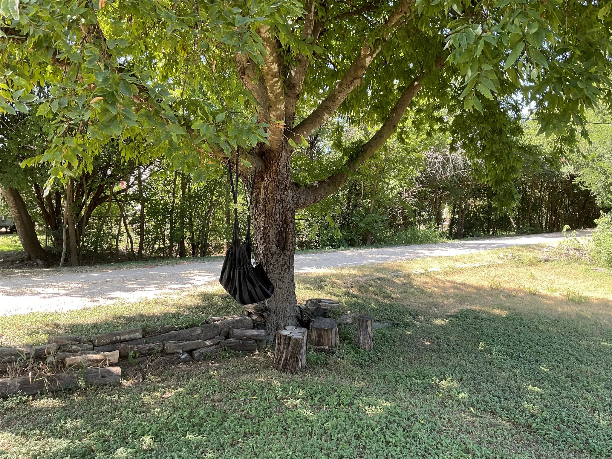 Mature shade tree providing ample coverage